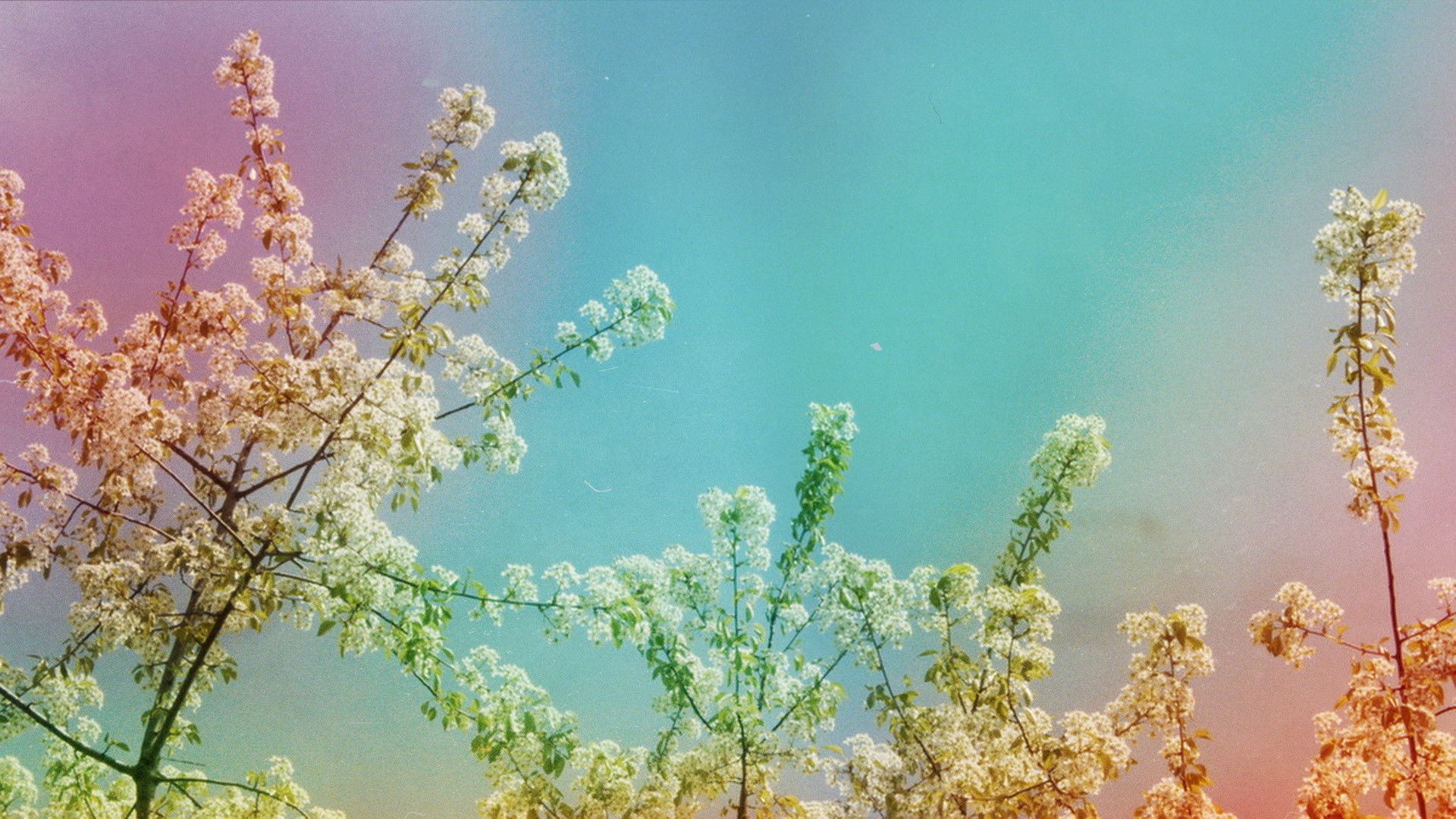 Backdrop for First of May