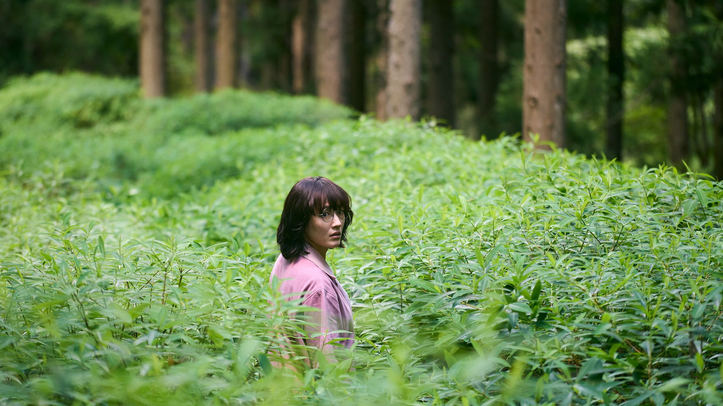 Backdrop for Route29