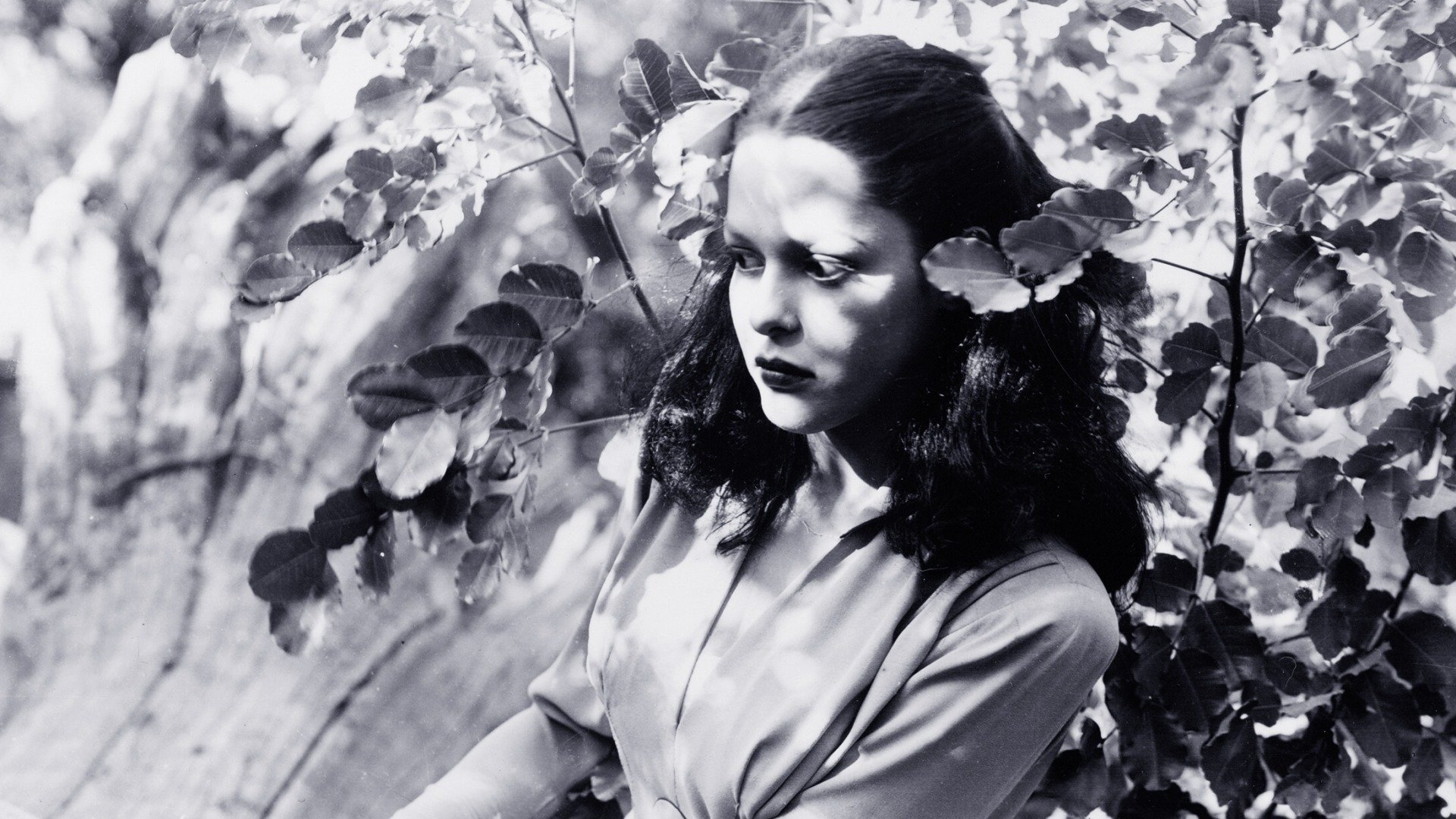 Backdrop for Jungle Woman