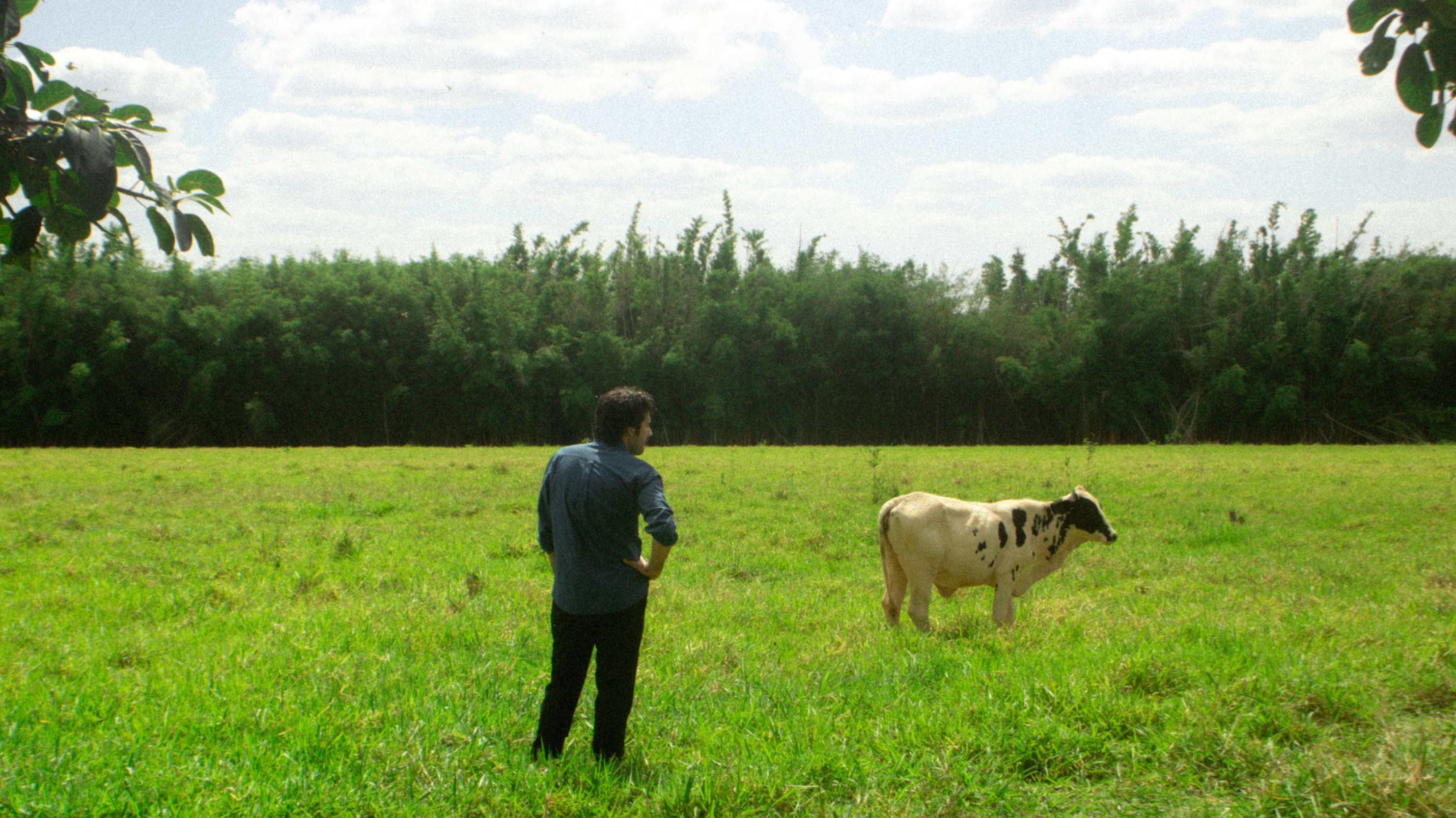 Backdrop for Volition Empire