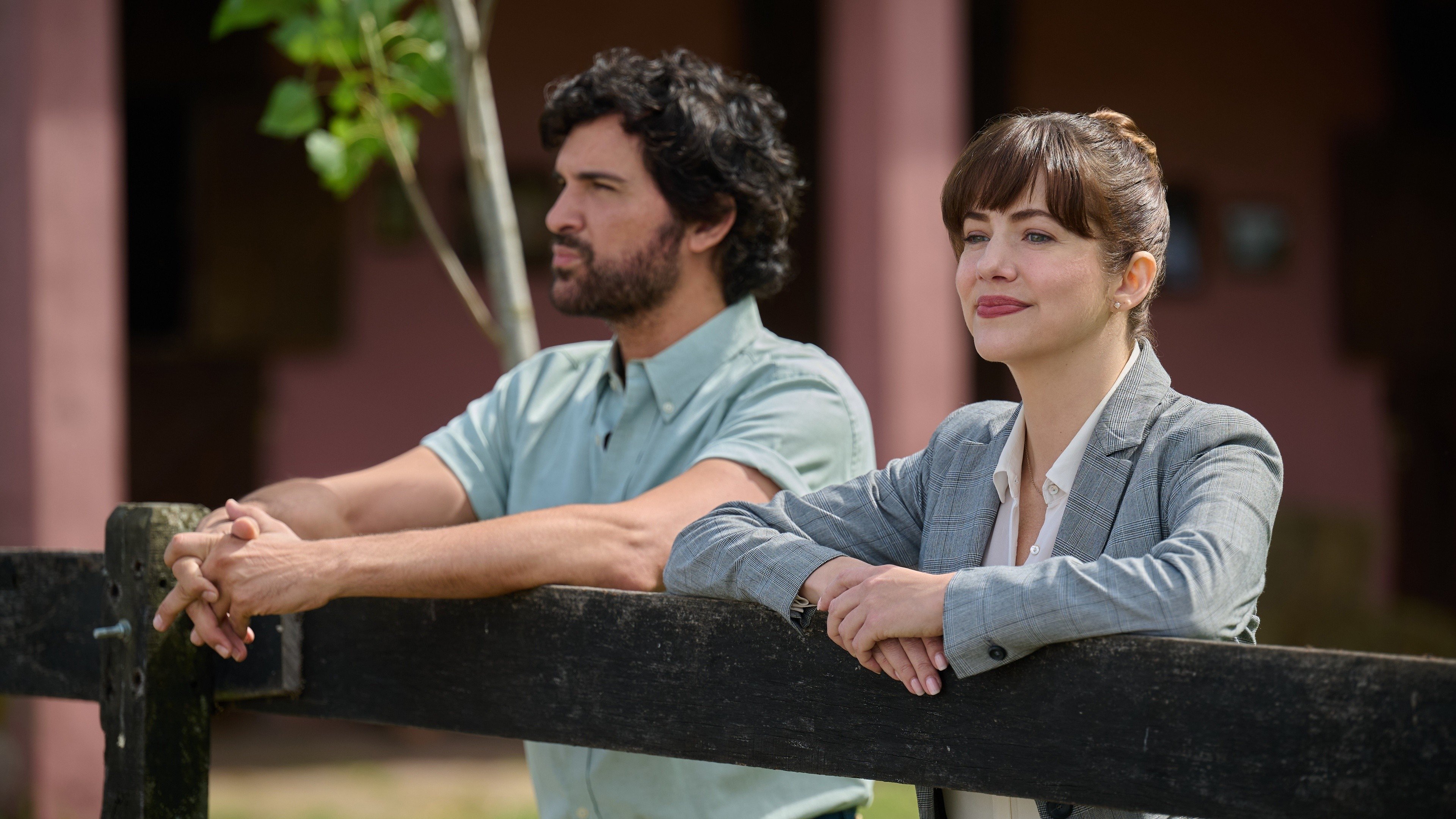 Backdrop for My Argentine Heart