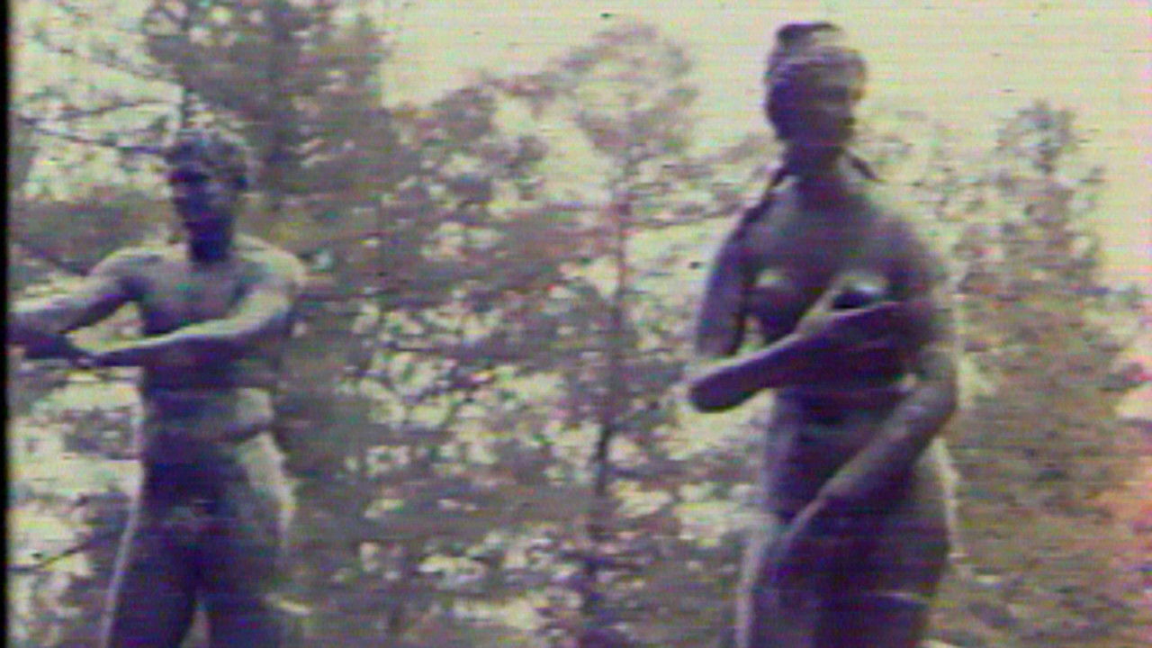 Backdrop for Metamorphosis