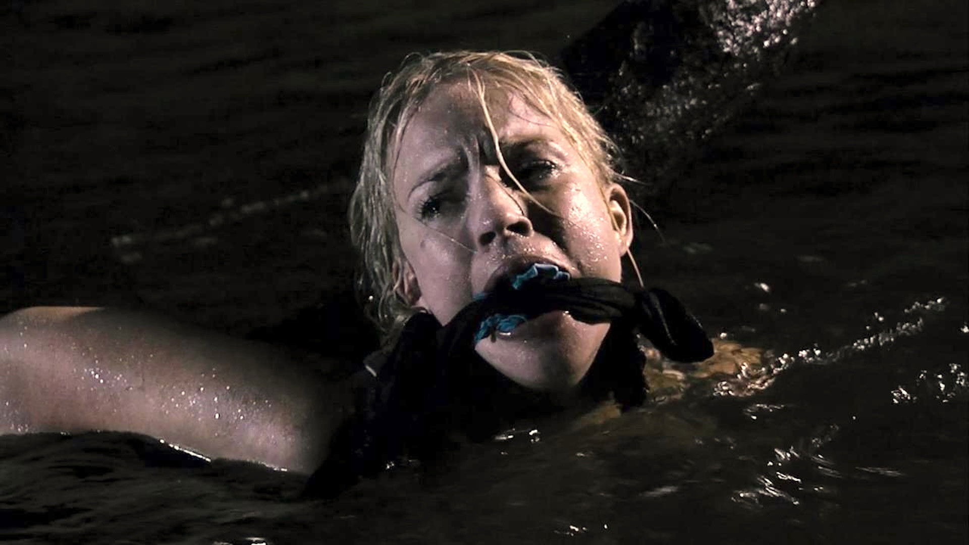 Backdrop for Savages Crossing