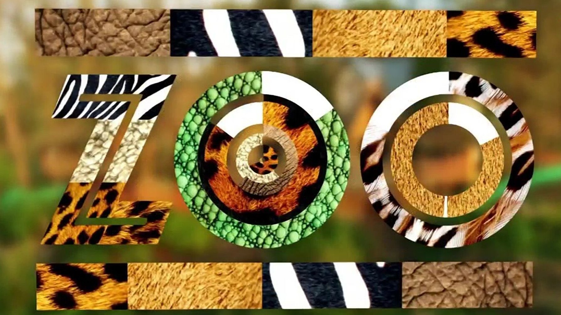 Backdrop for Une saison au zoo