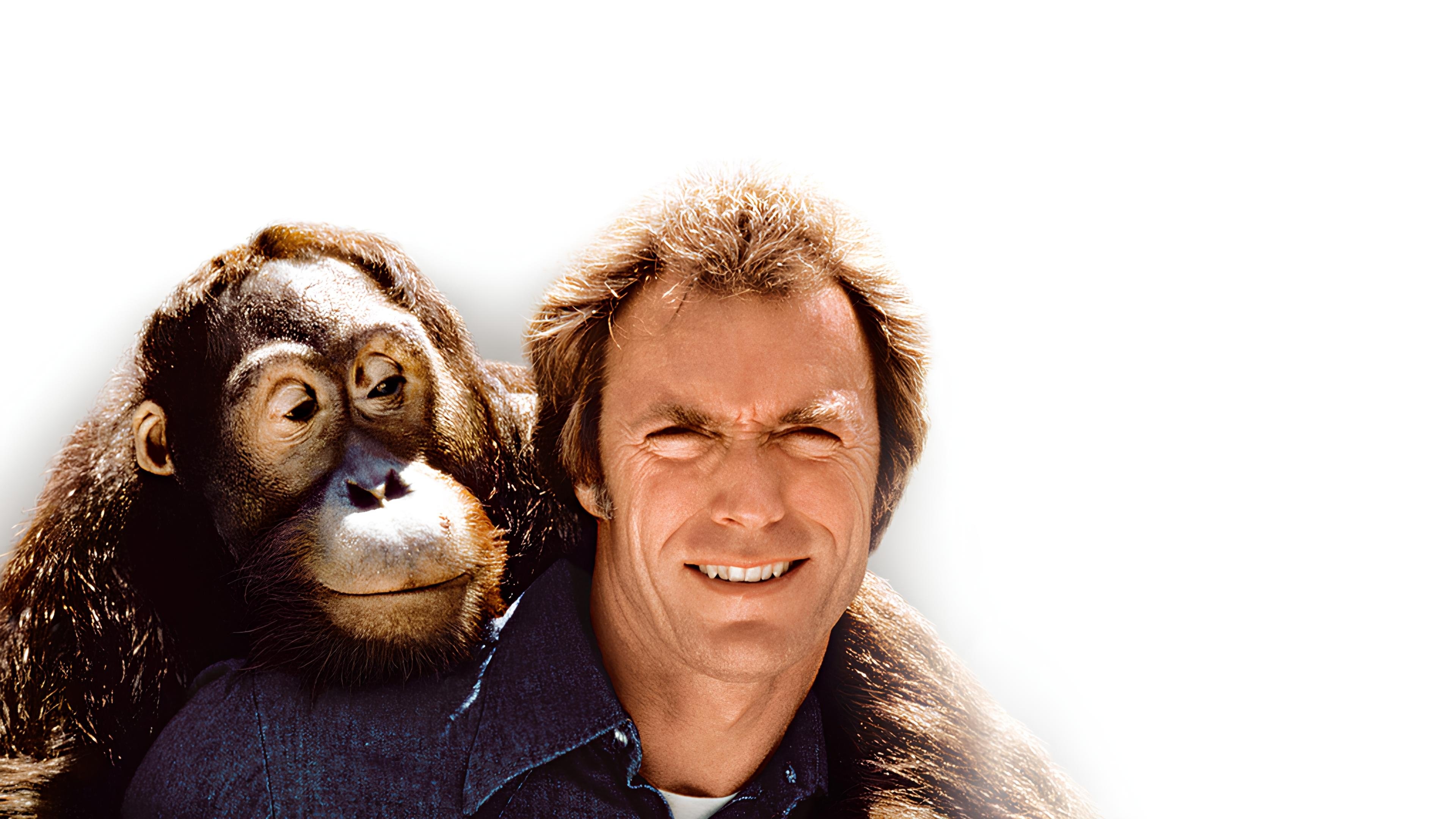 Backdrop for Any Which Way You Can