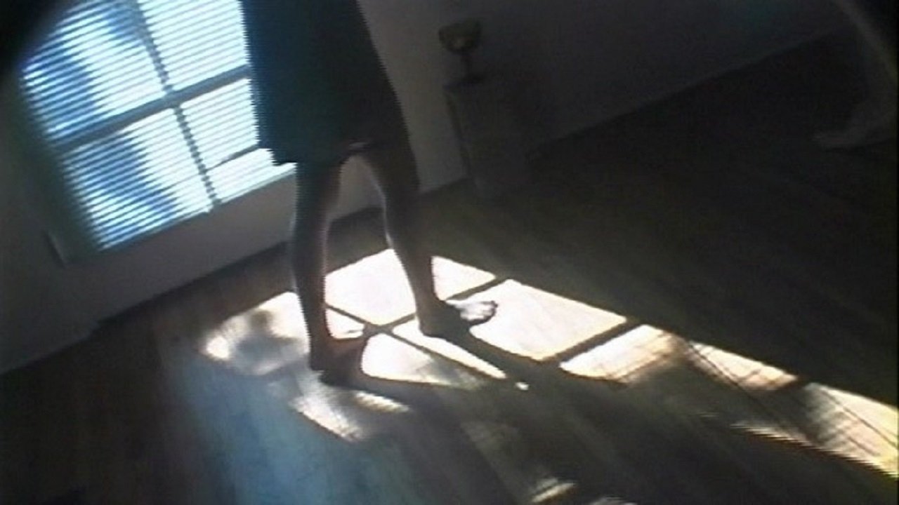 Backdrop for Gina Kim’s Video Diary