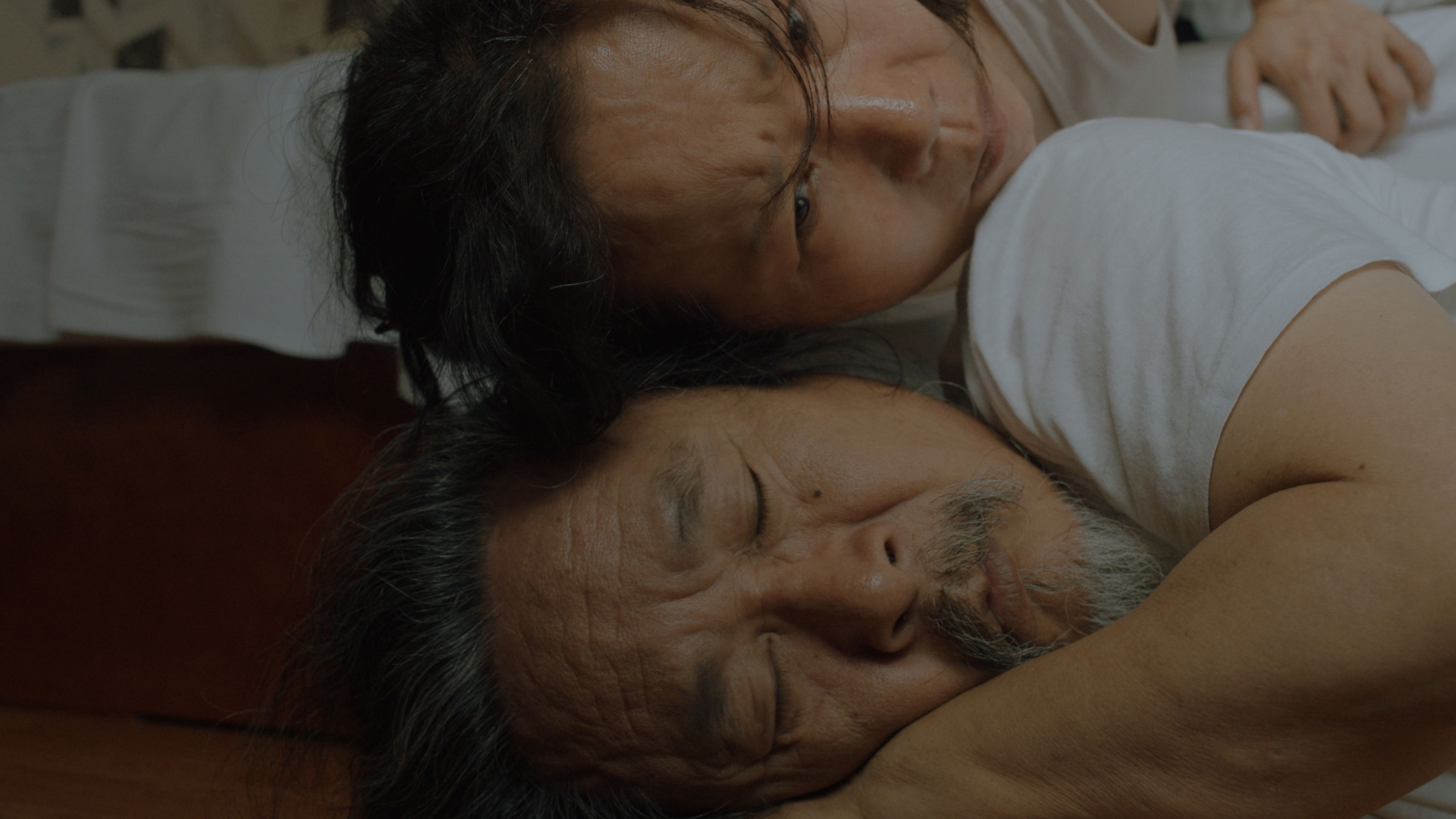 Backdrop for The Burglars