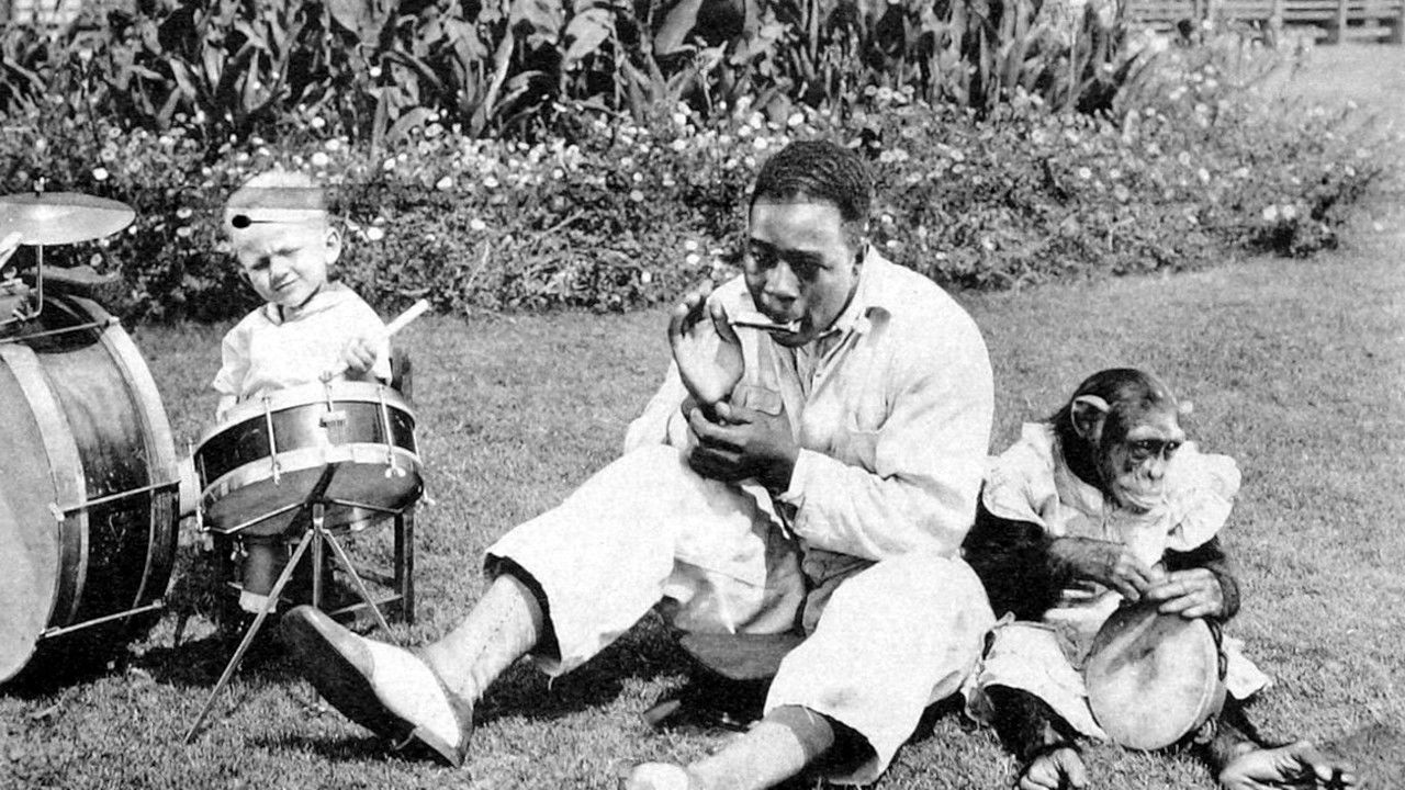 Backdrop for Who's Who in the Zoo