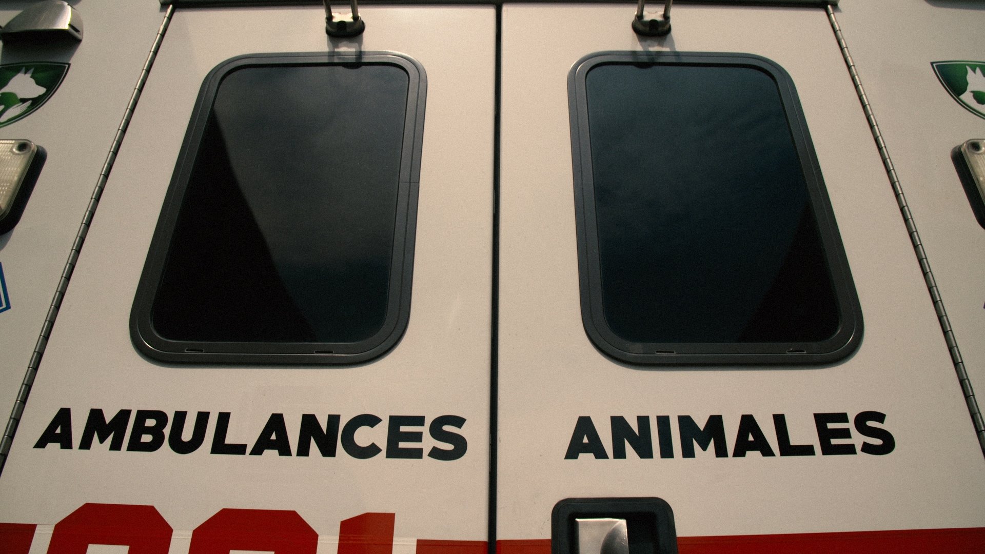 Backdrop for Ambulances animales