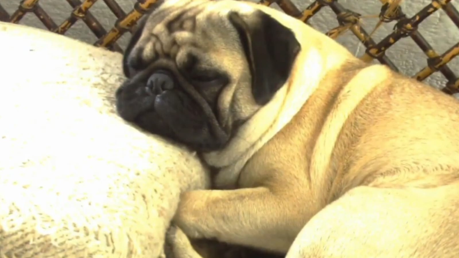 Backdrop for The hell in the sky