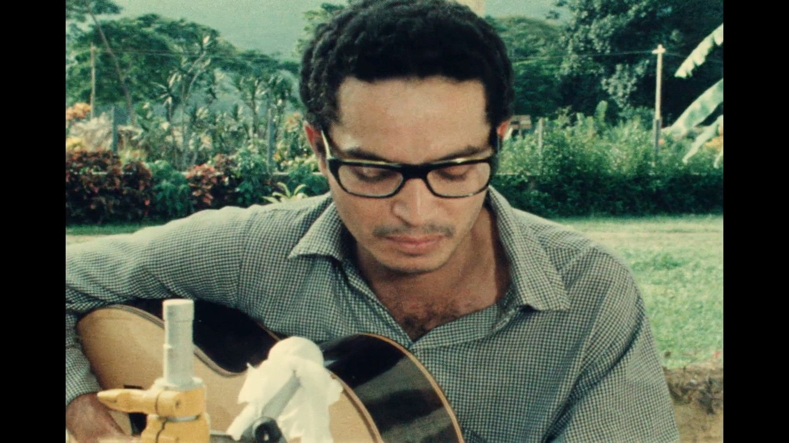 Backdrop for Saravah