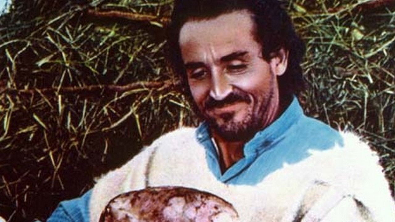 Backdrop for The Prophet