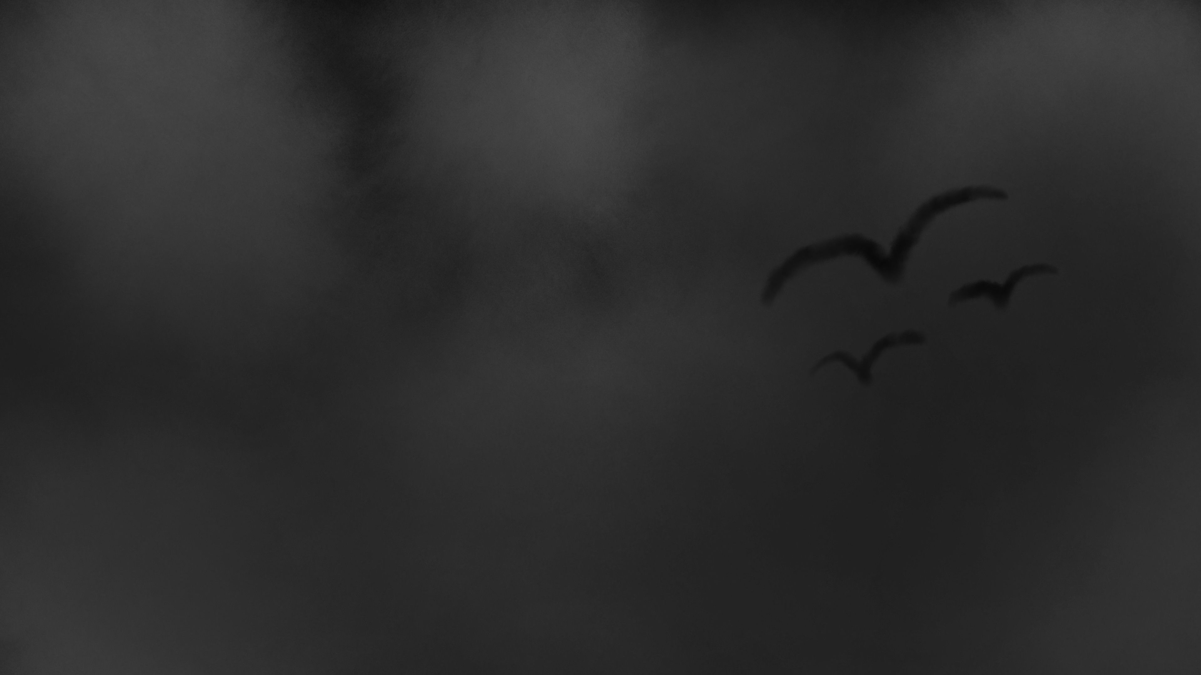 Backdrop for The Grudge