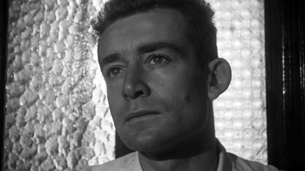 Backdrop for The Olive Trees of Justice