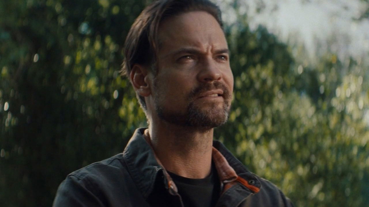 Backdrop for Every Other Animal