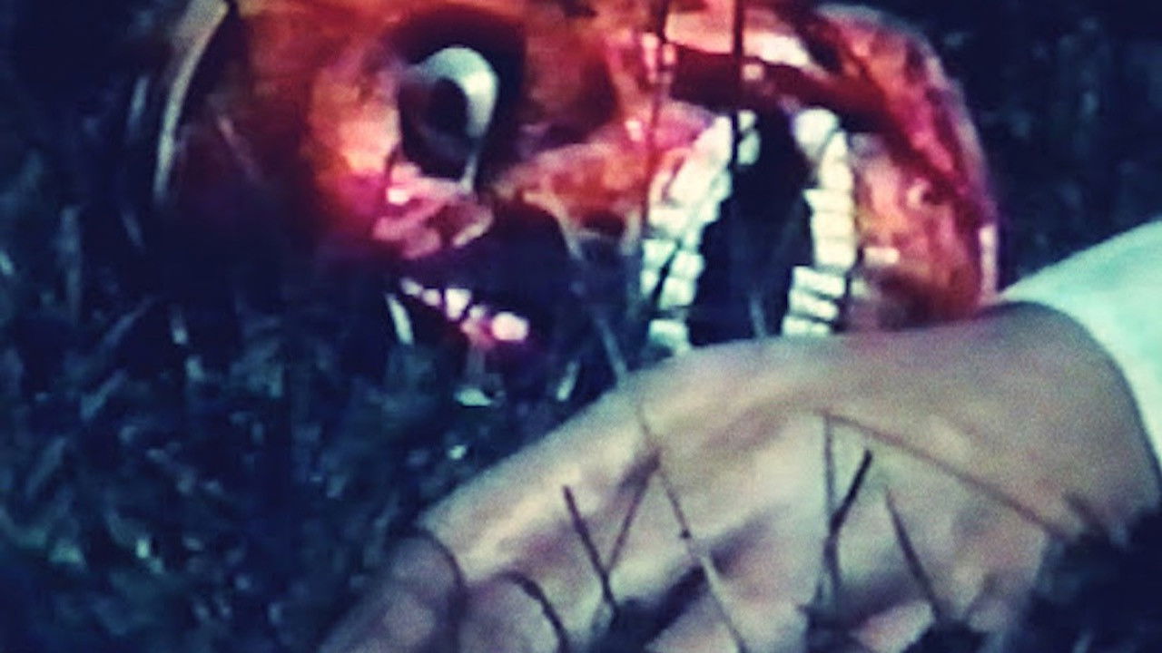 Backdrop for Saurians