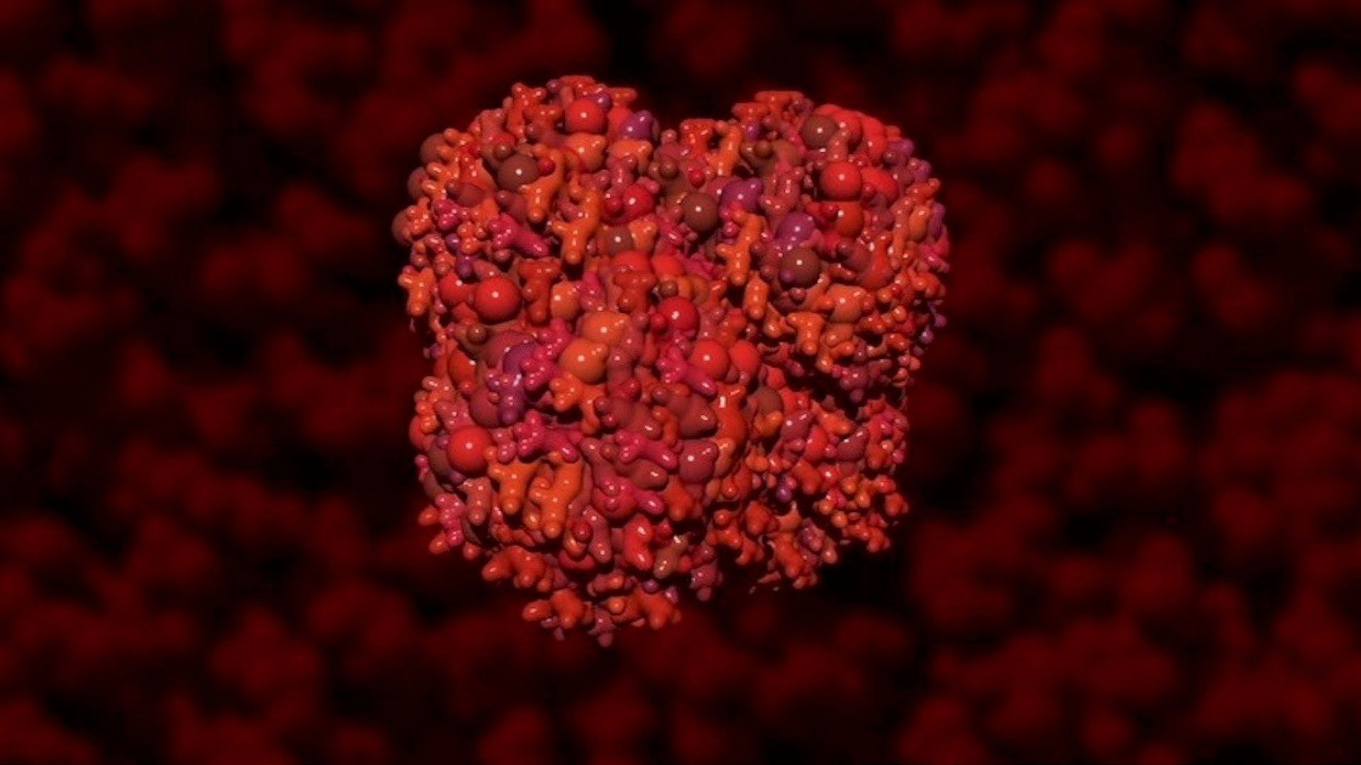 Backdrop for Flock of Dodos: The Evolution-Intelligent Design Circus