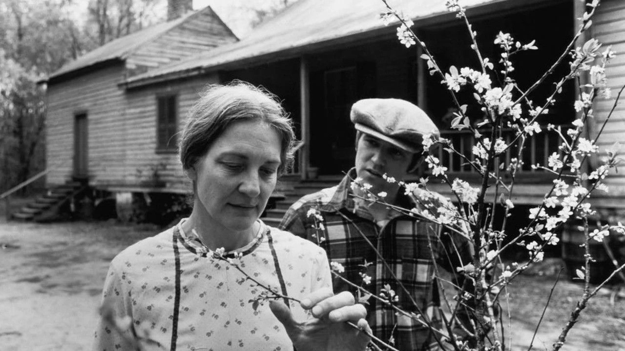 Backdrop for Gal Young 'Un