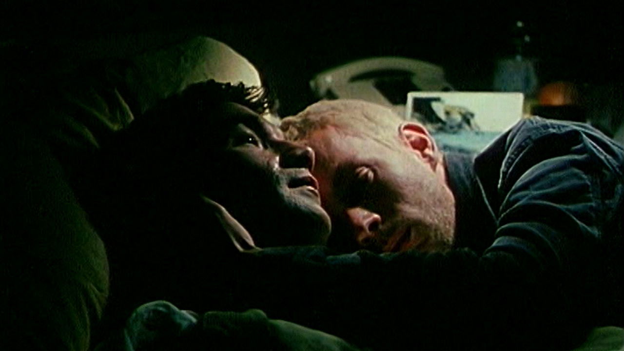 Backdrop for Three Wishes