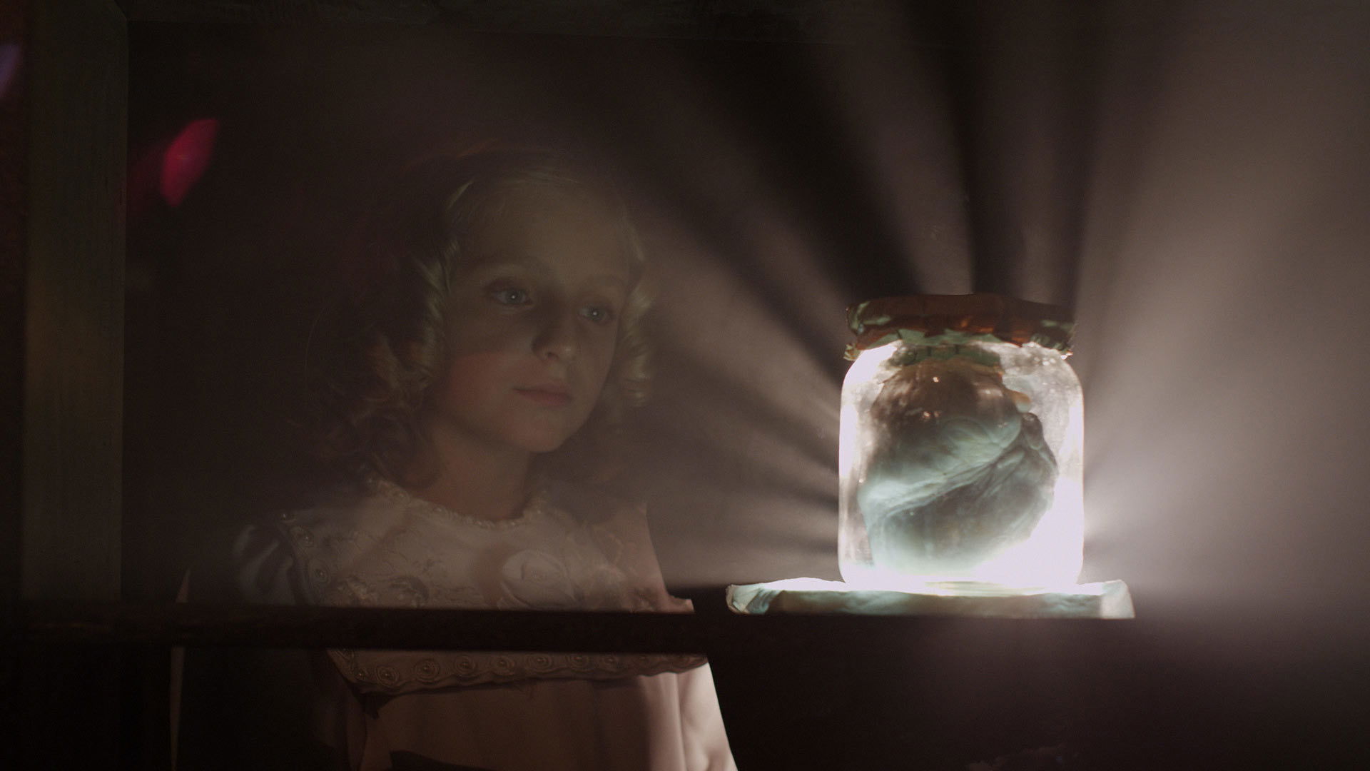 Backdrop for Field of Dogs