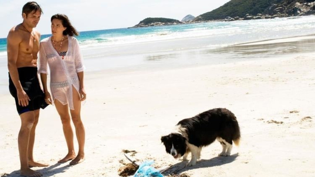 Backdrop for Long Weekend