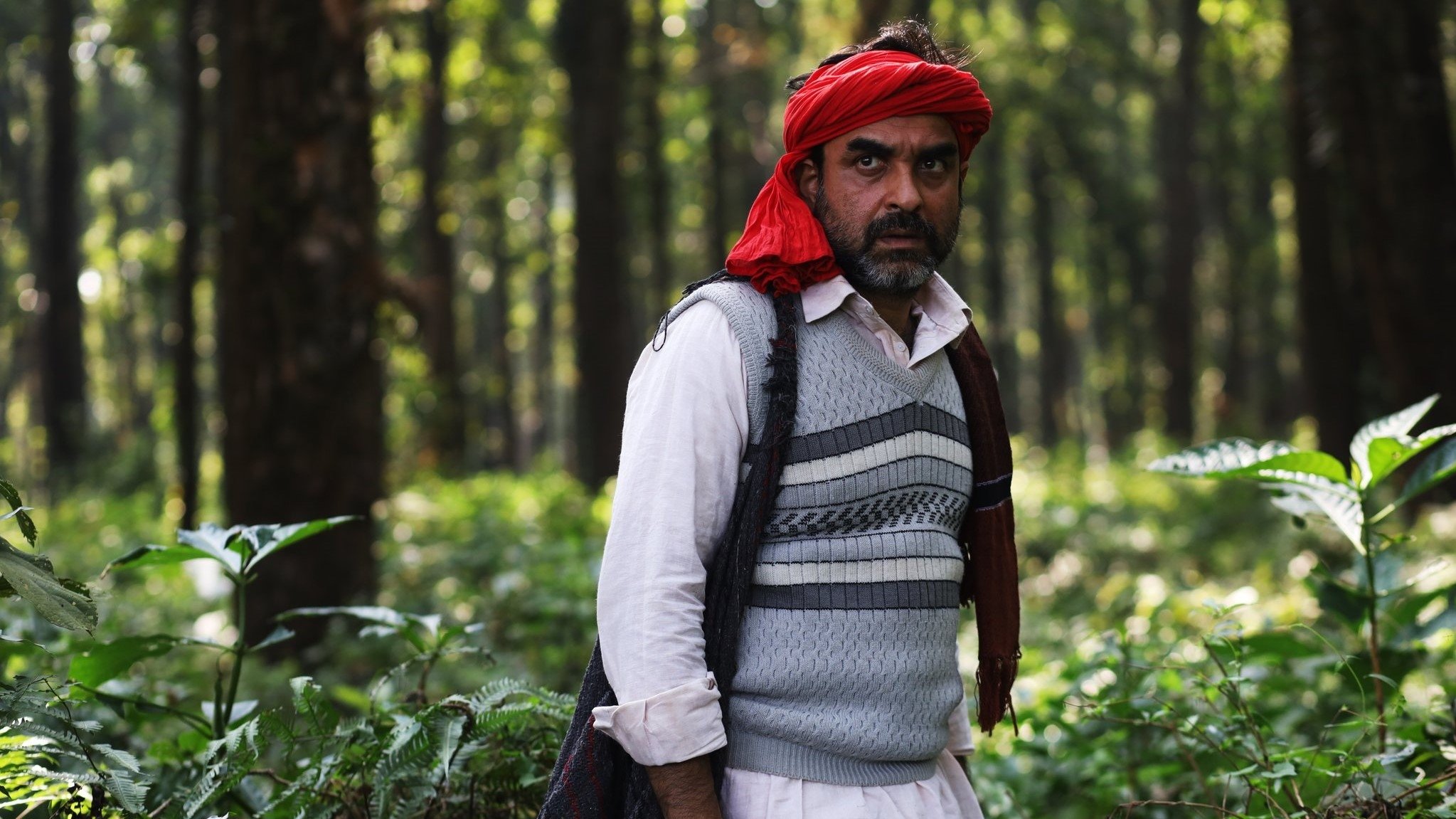 Backdrop for Sherdil: The Pilibhit Saga