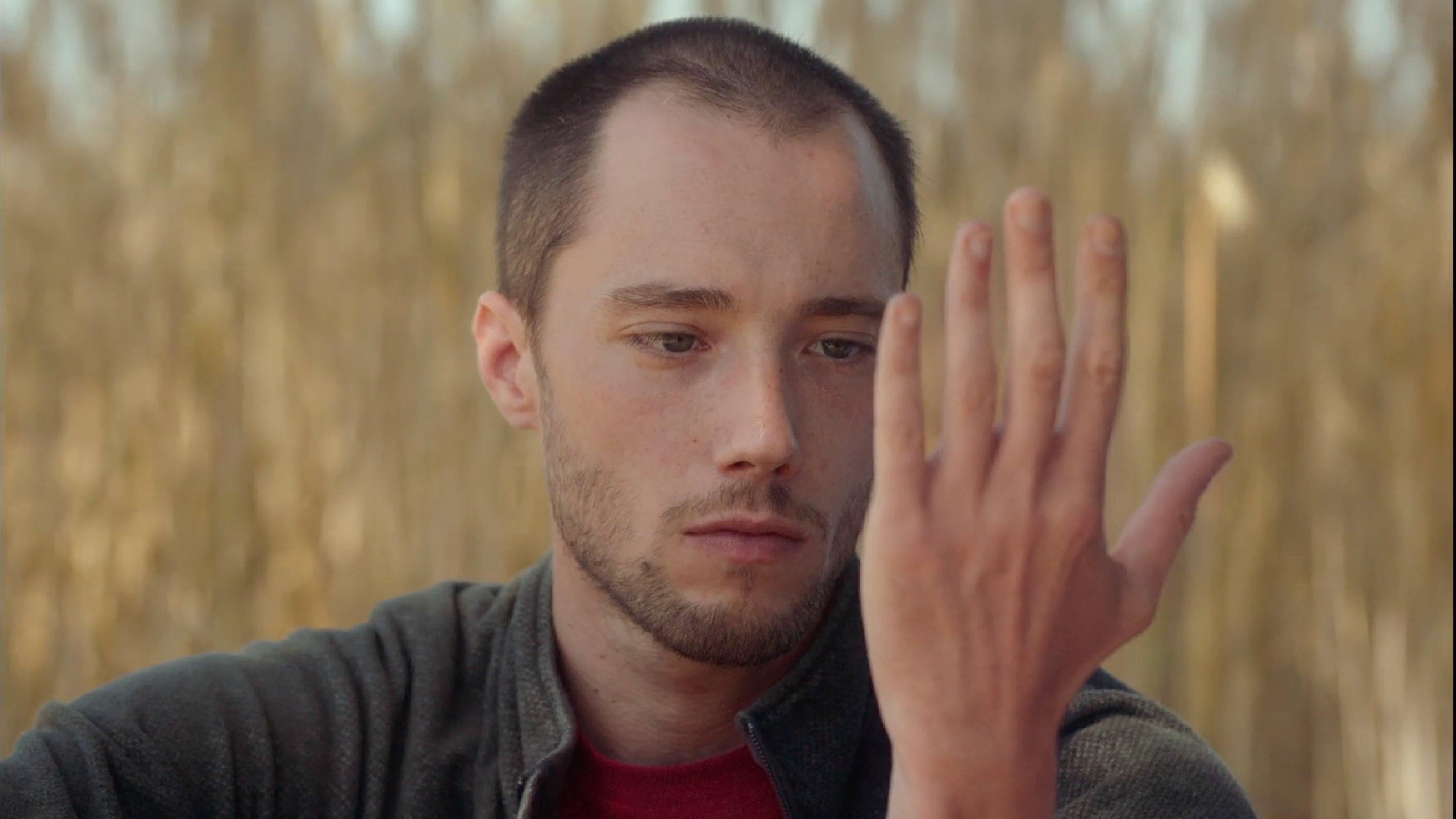 Backdrop for Marinaleda