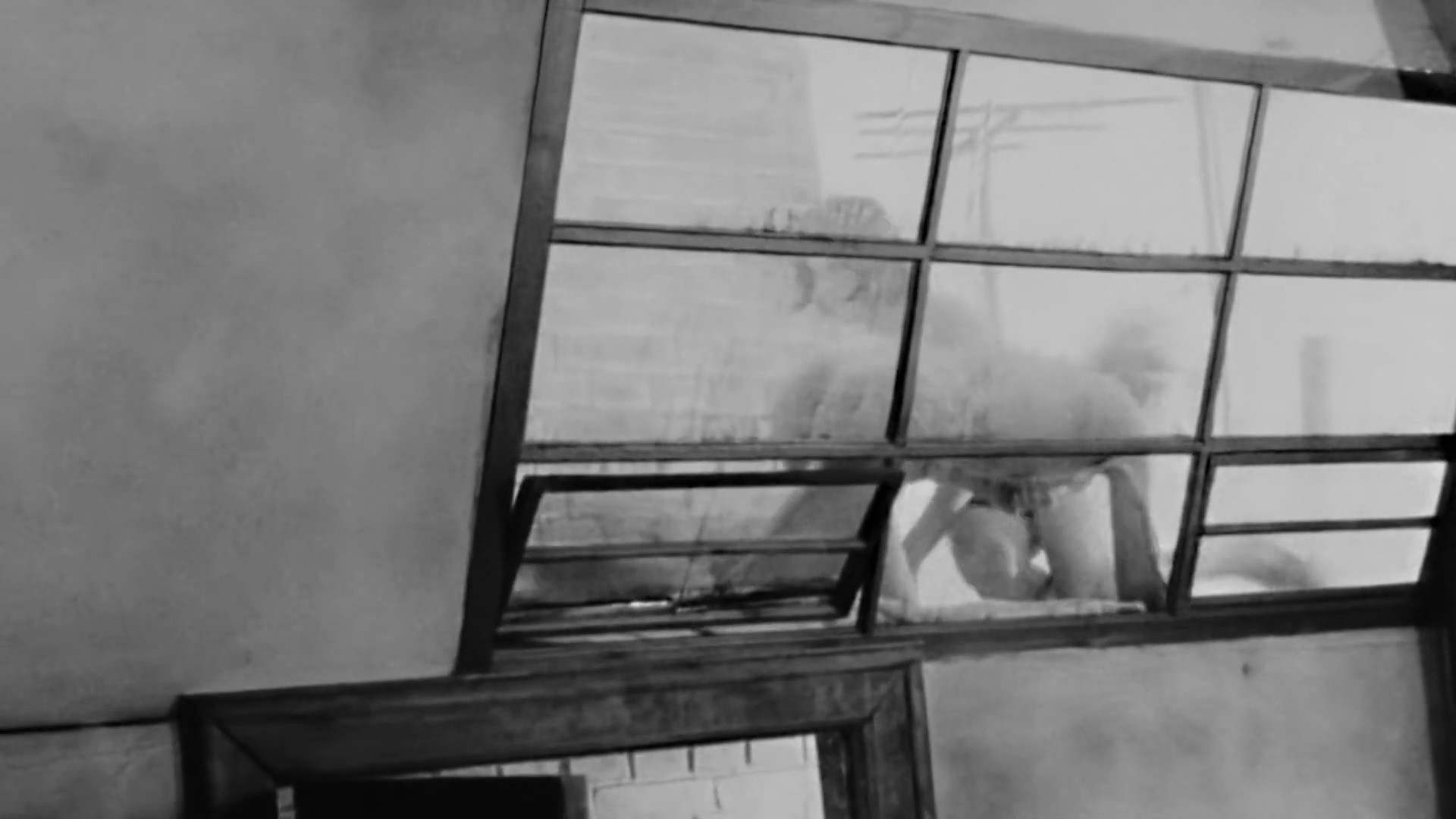 Backdrop for Identification Marks: None