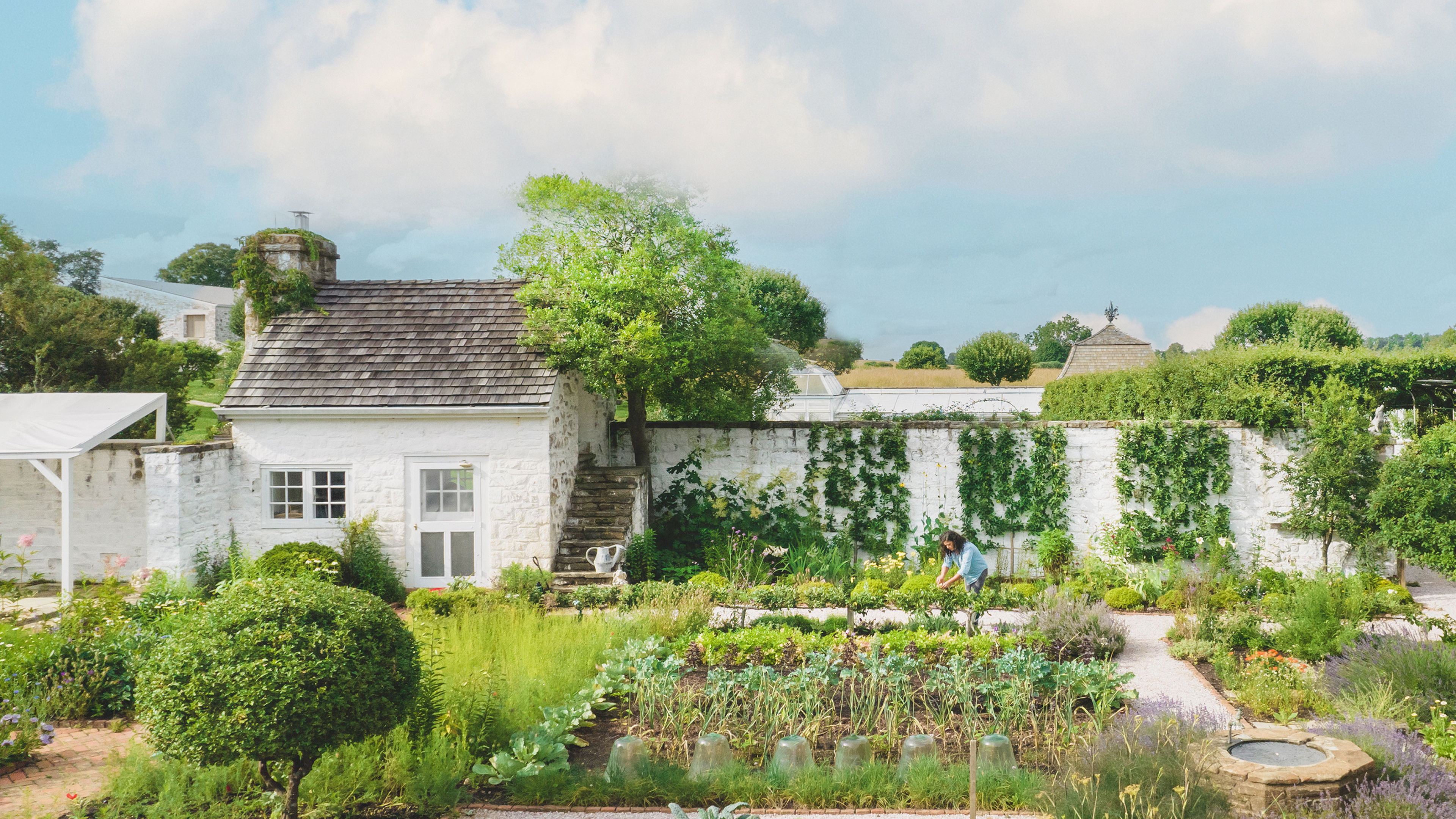 Backdrop for The Garden Chronicles