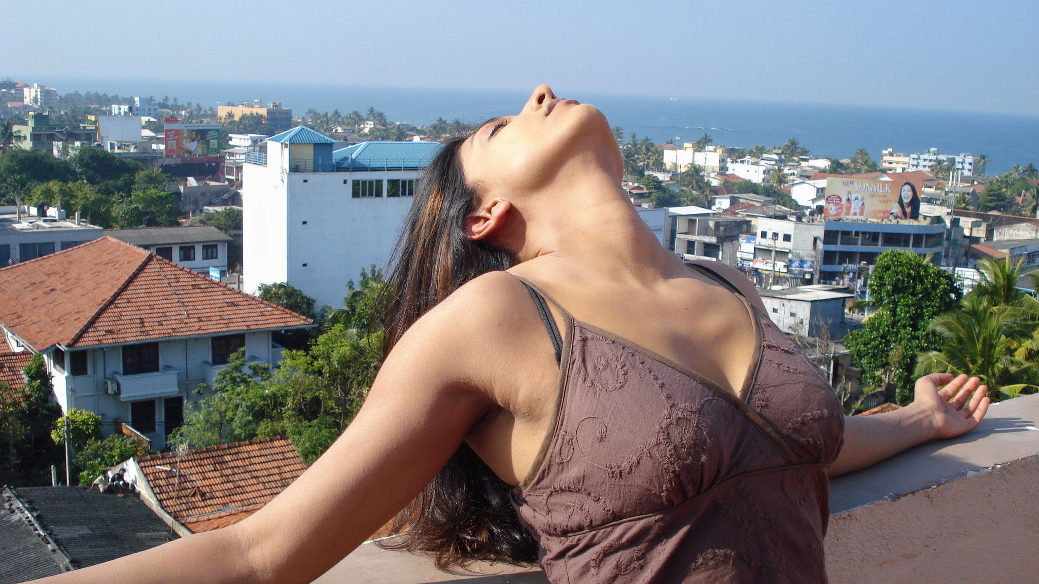 Backdrop for Flowers of the Sky