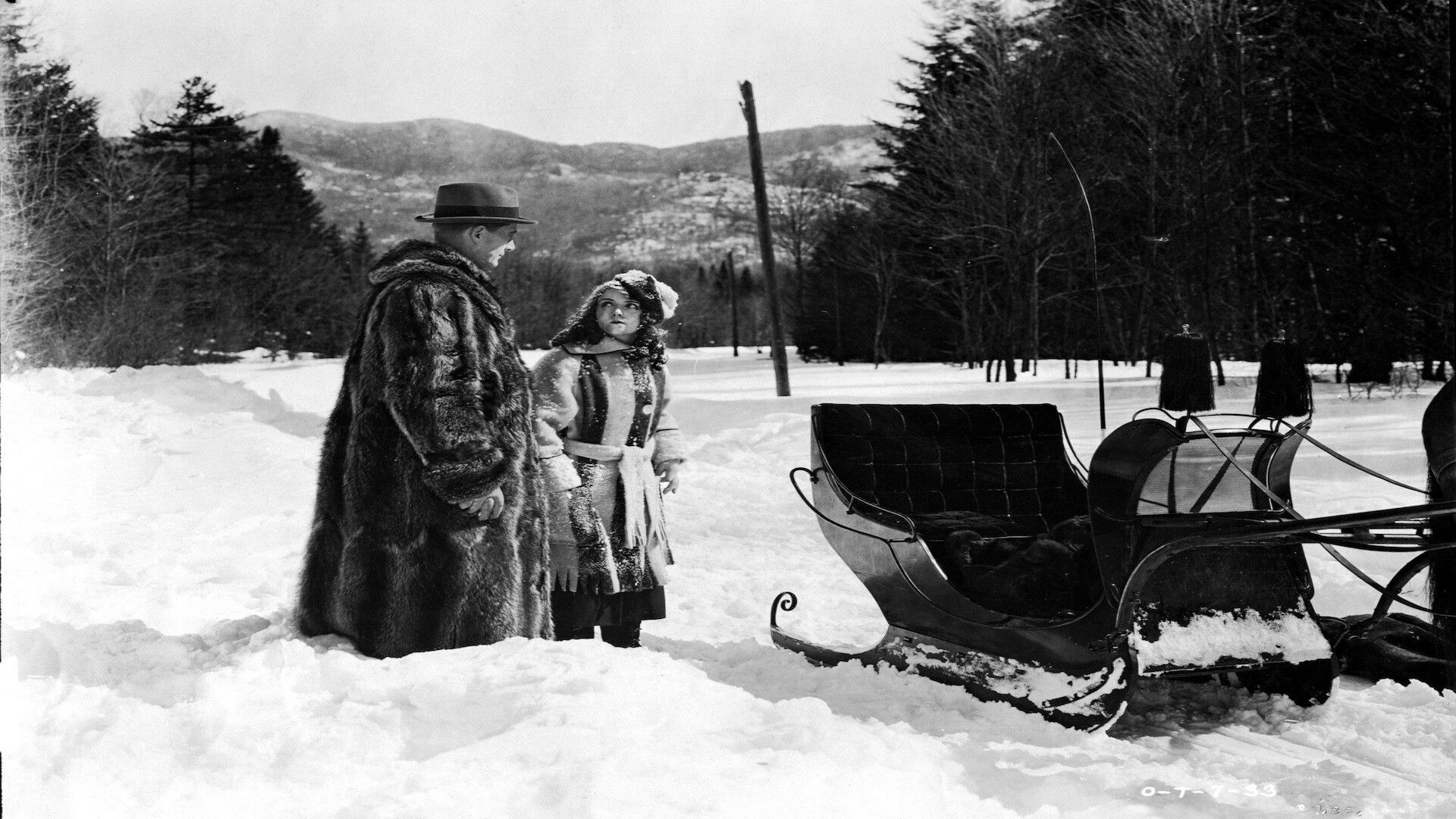 Backdrop for The Flapper