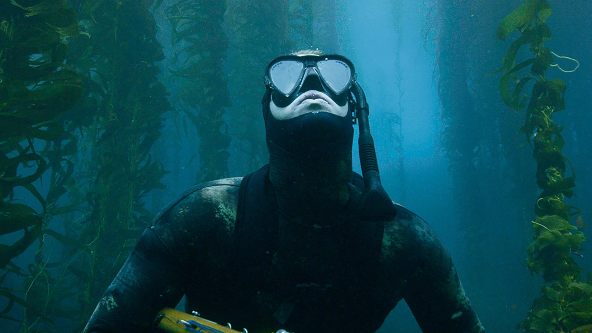 Backdrop for The Urchin Diver