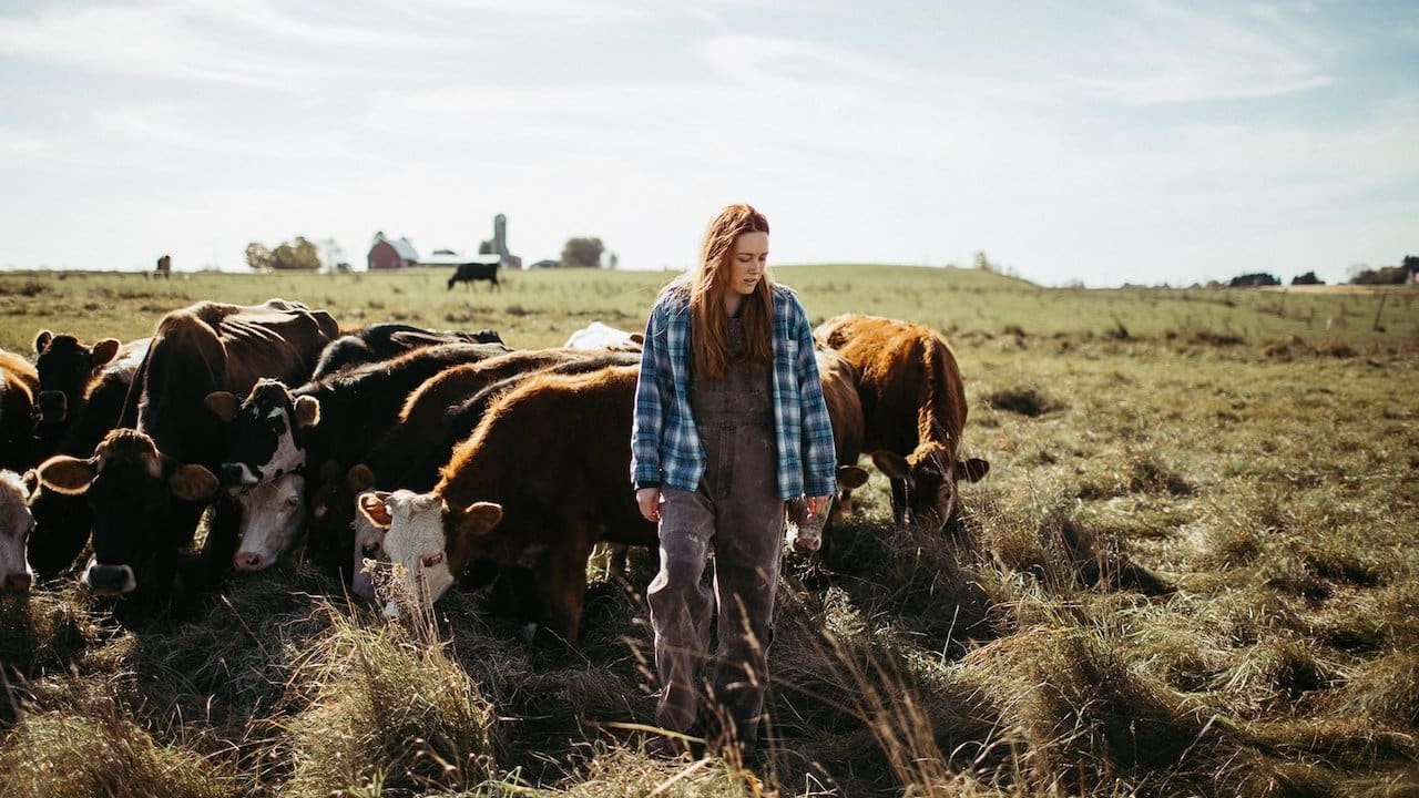 Backdrop for Green and Gold