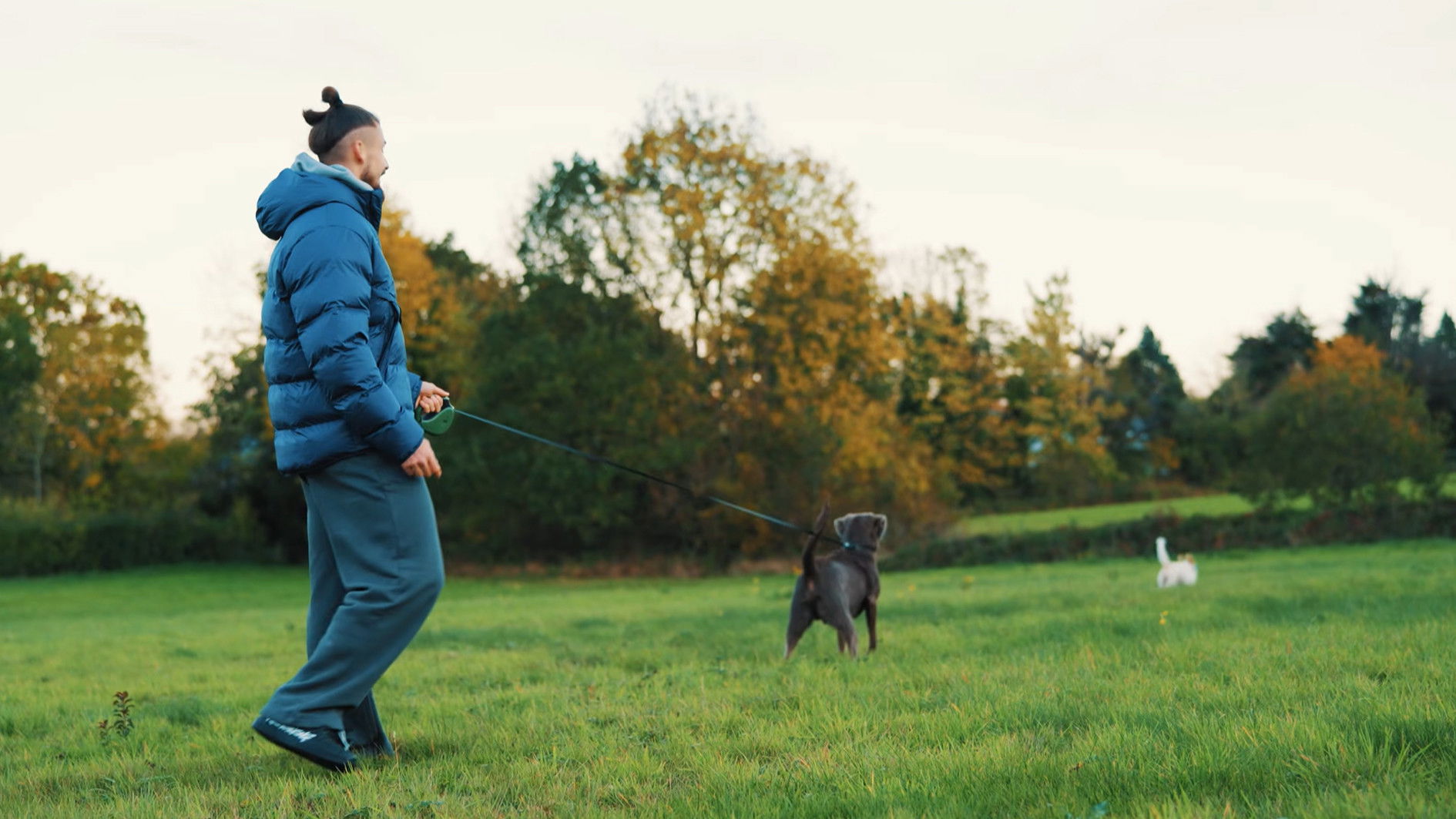 Backdrop for Radu Drăgușin: Life & Recovery