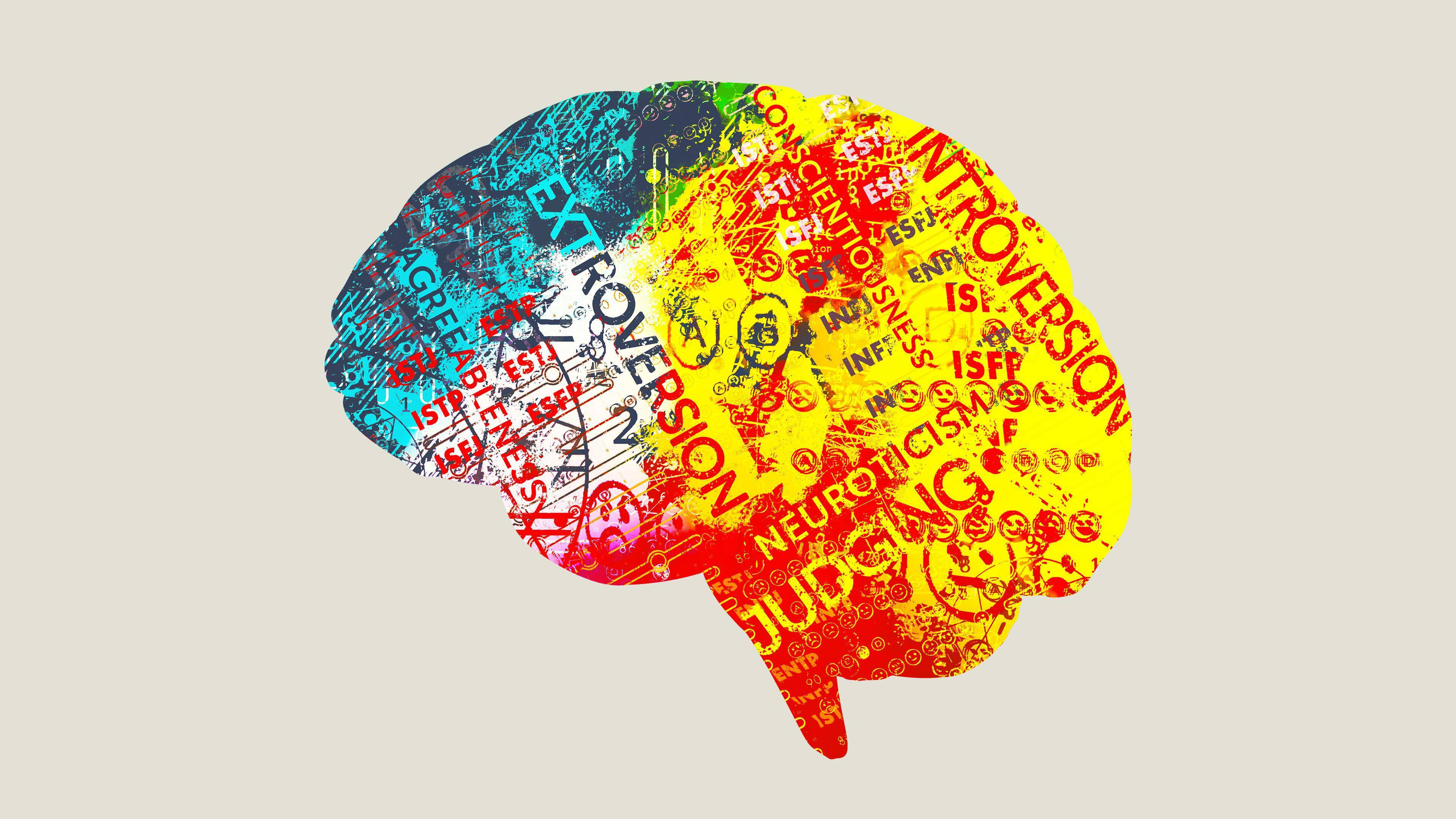 Backdrop for Persona: The Dark Truth Behind Personality Tests