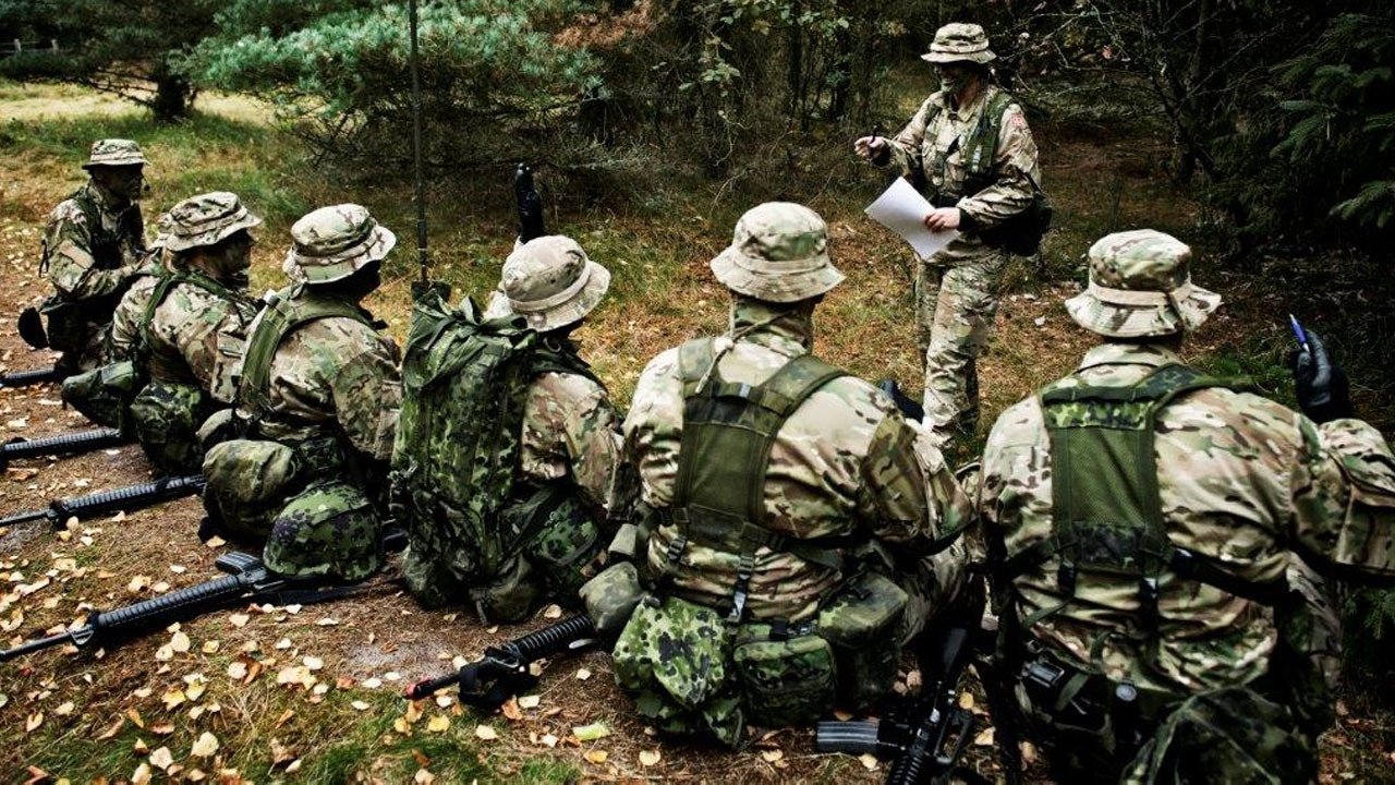 Backdrop for Jul i hjemmeværnet