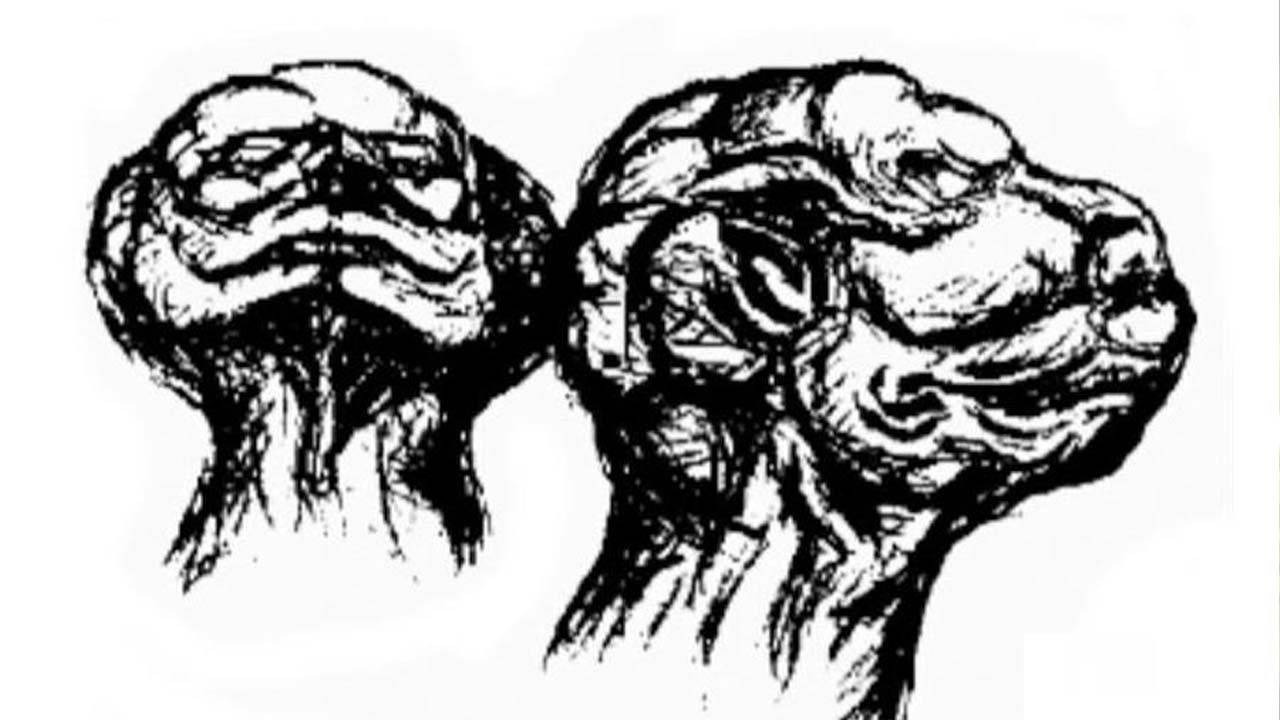 Backdrop for Making of the Godzilla Suit!