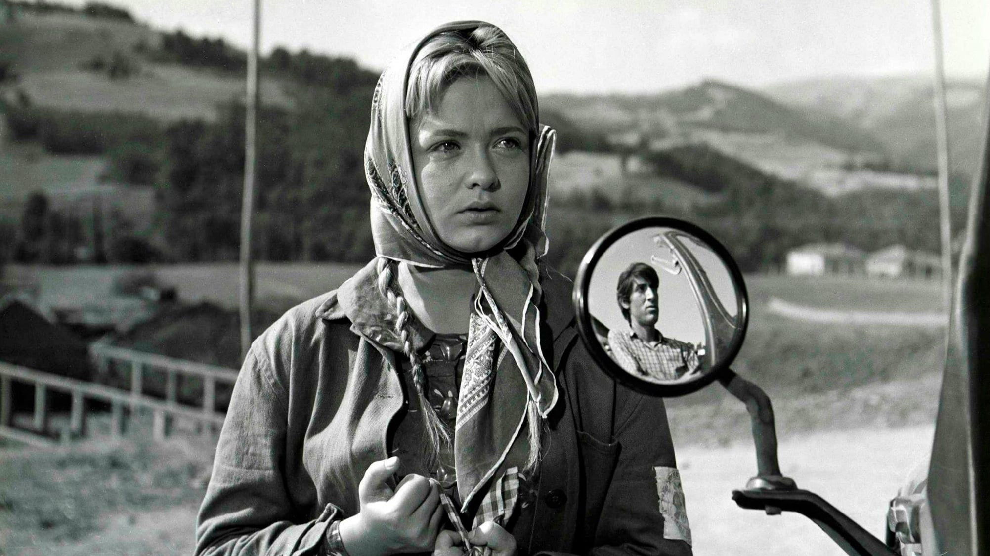 Backdrop for Superfluous