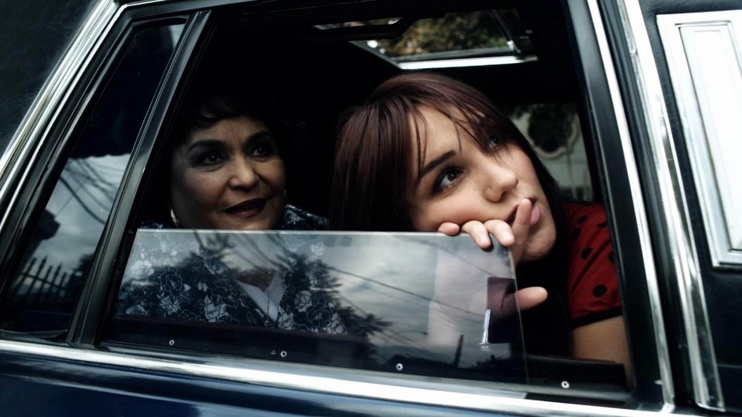 Backdrop for Have You Seen Lupita?