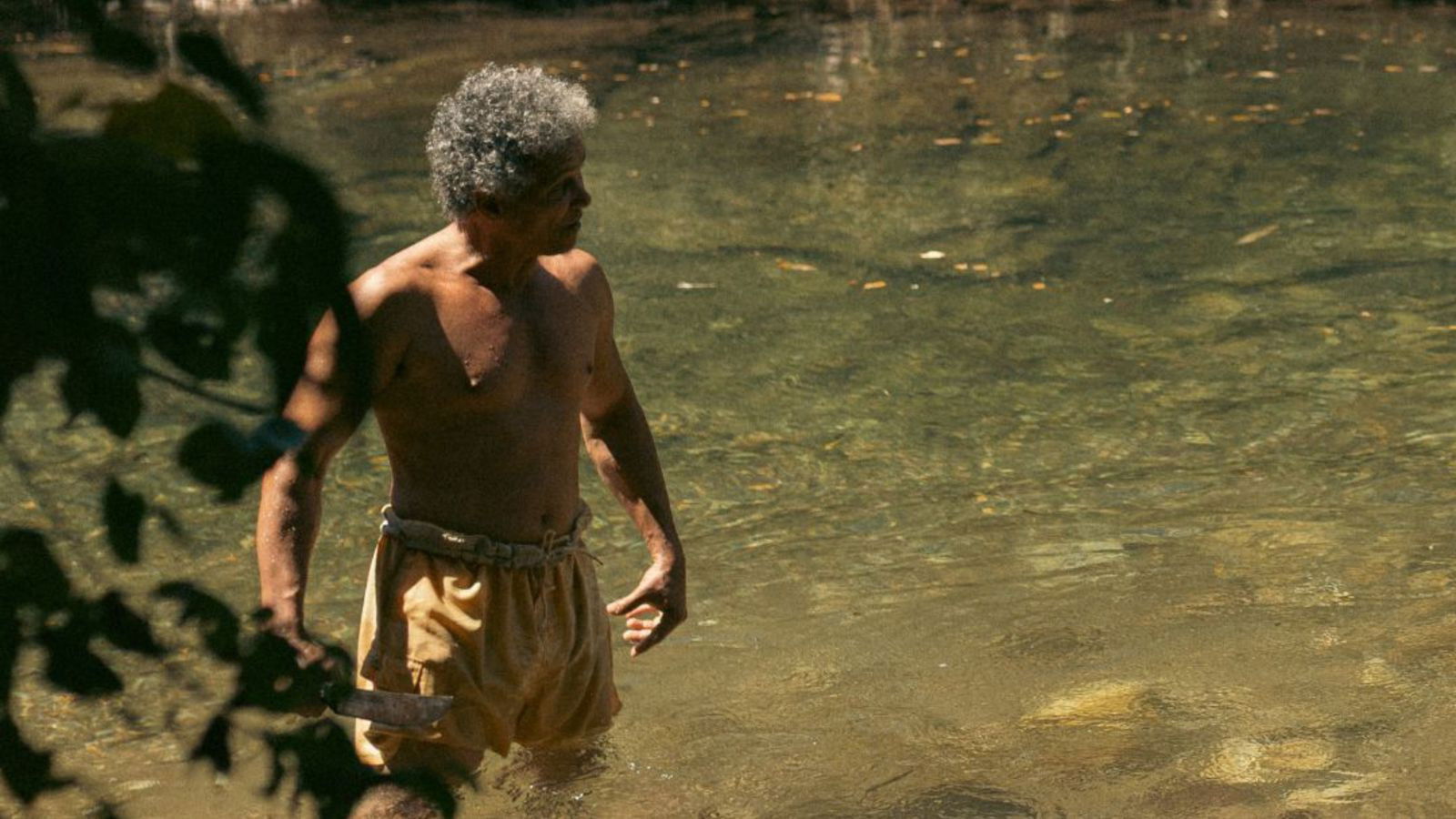 Backdrop for Belo Ouro