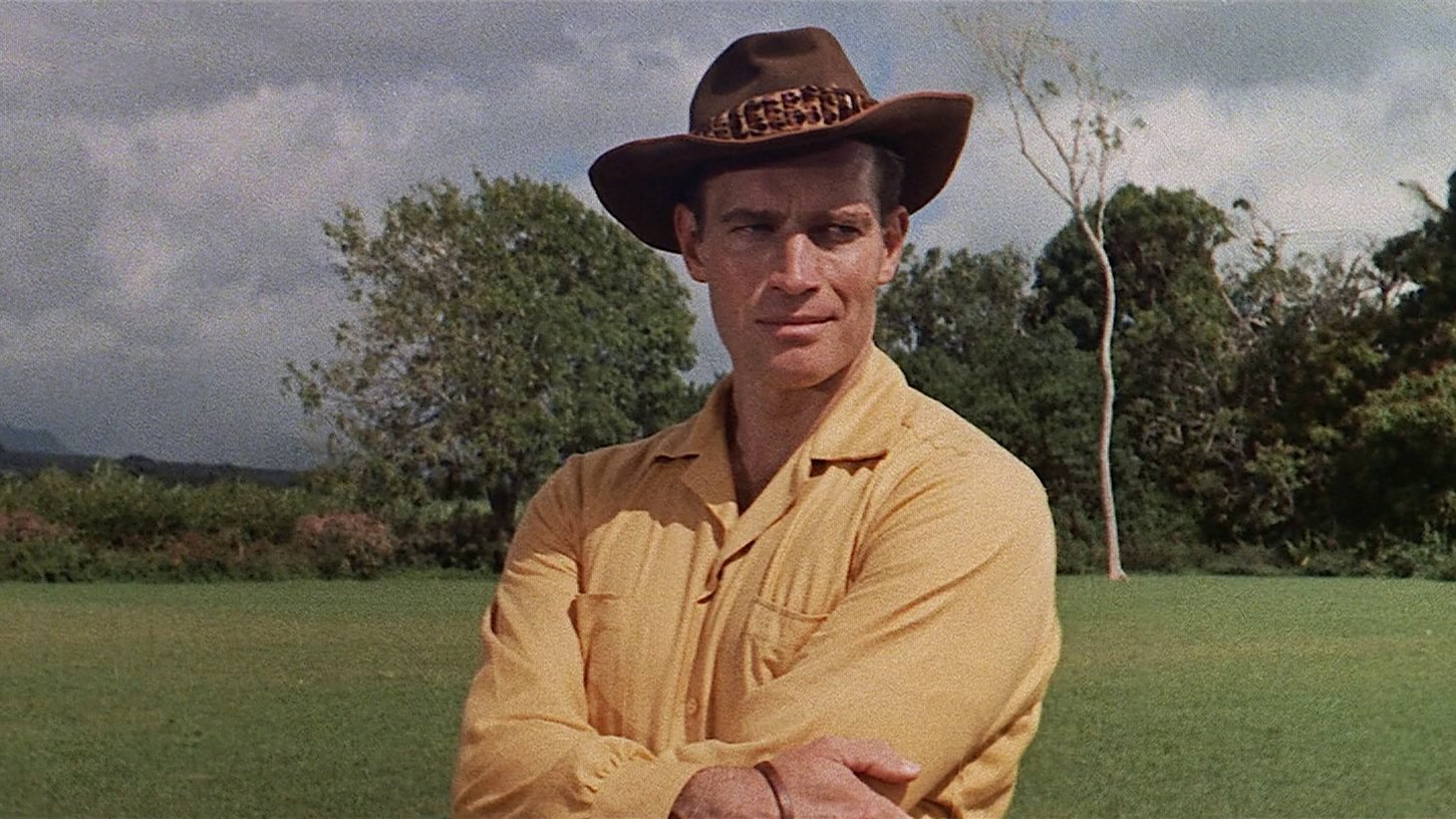 Backdrop for Diamond Head