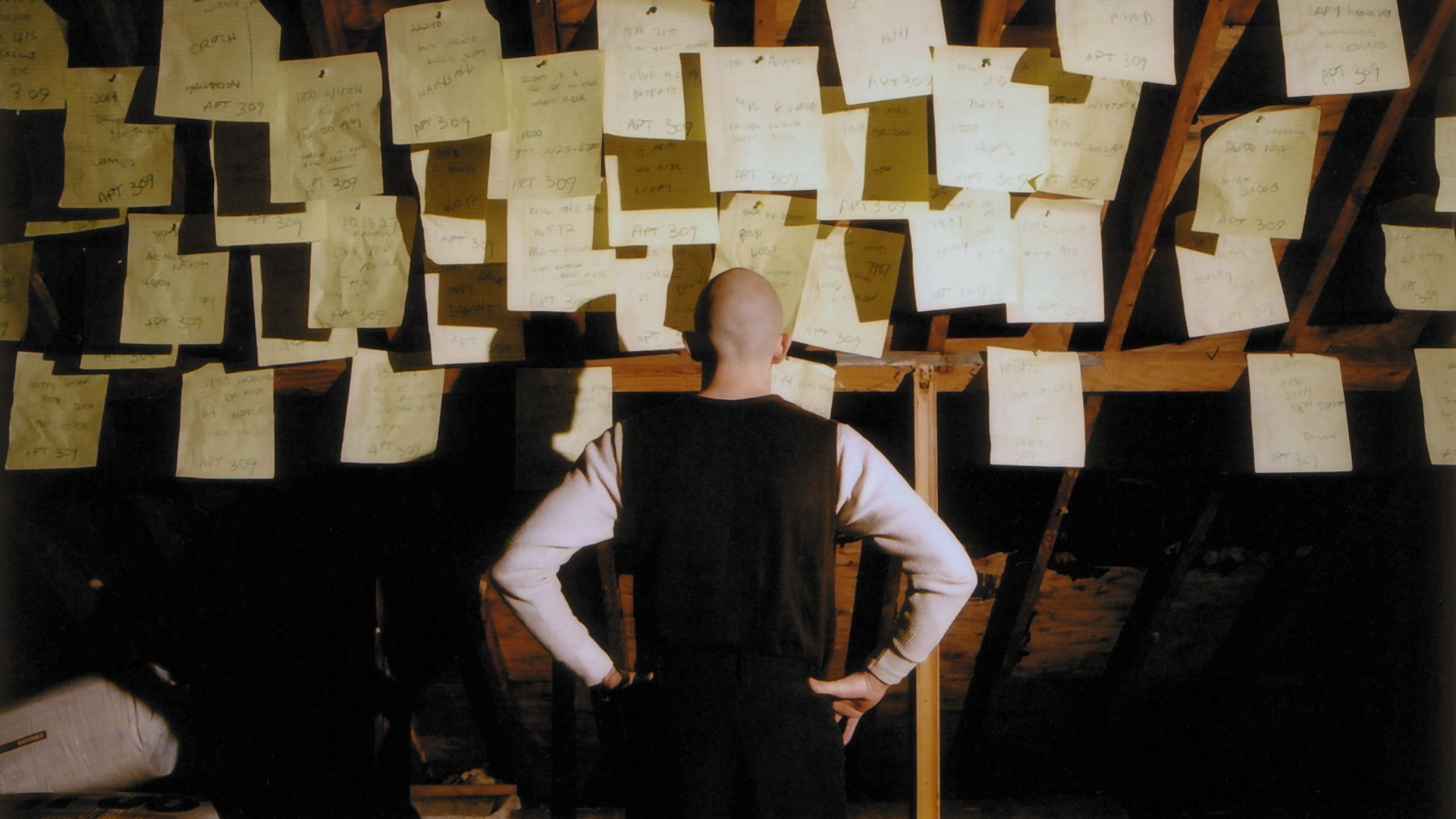 Backdrop for Firefly