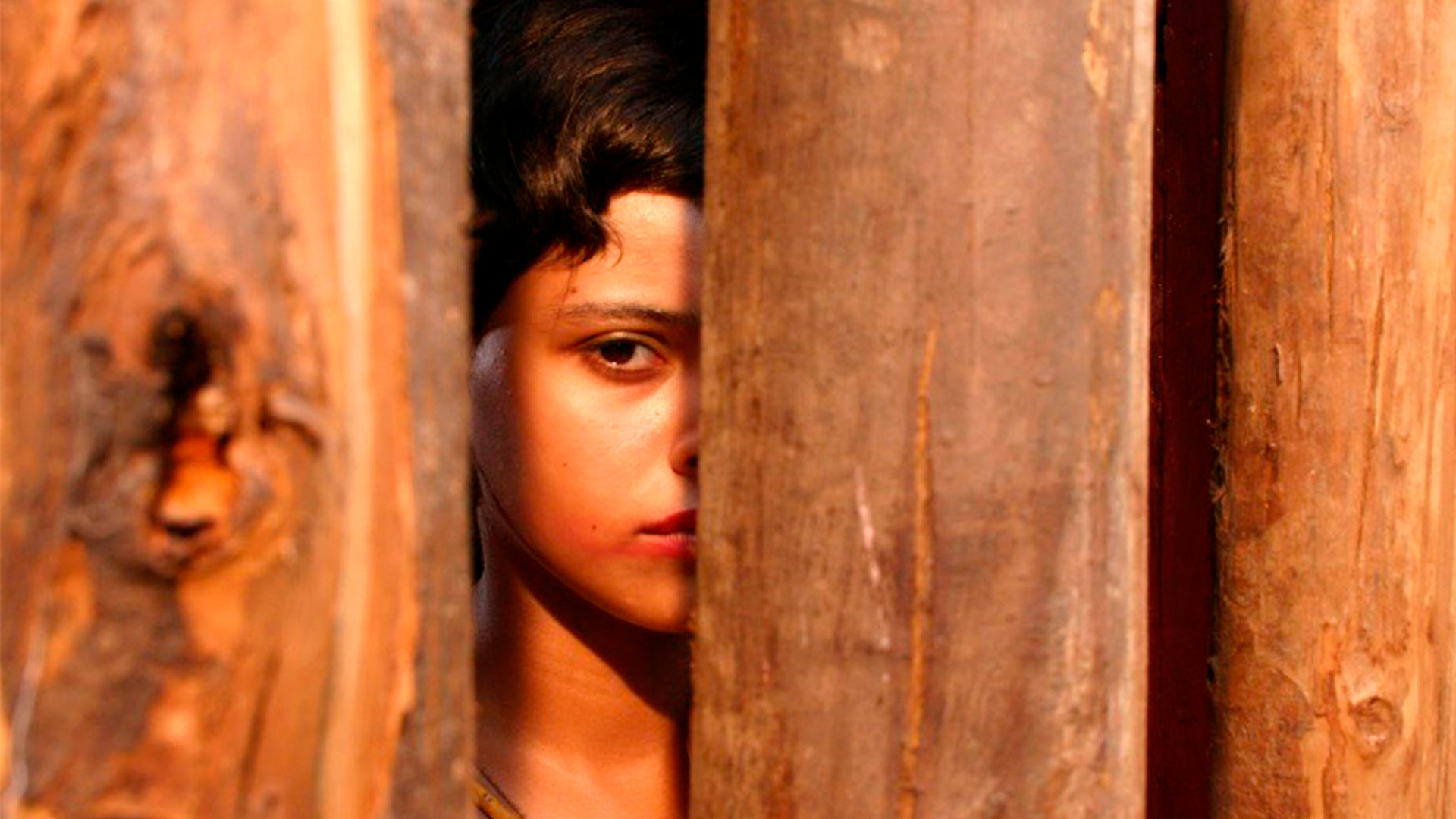 Backdrop for Angels of the Sun