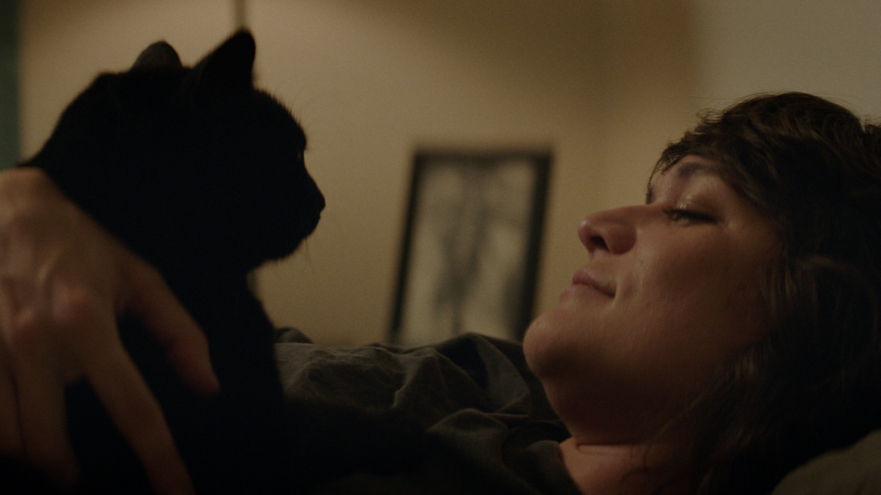 Backdrop for Brown-eyed