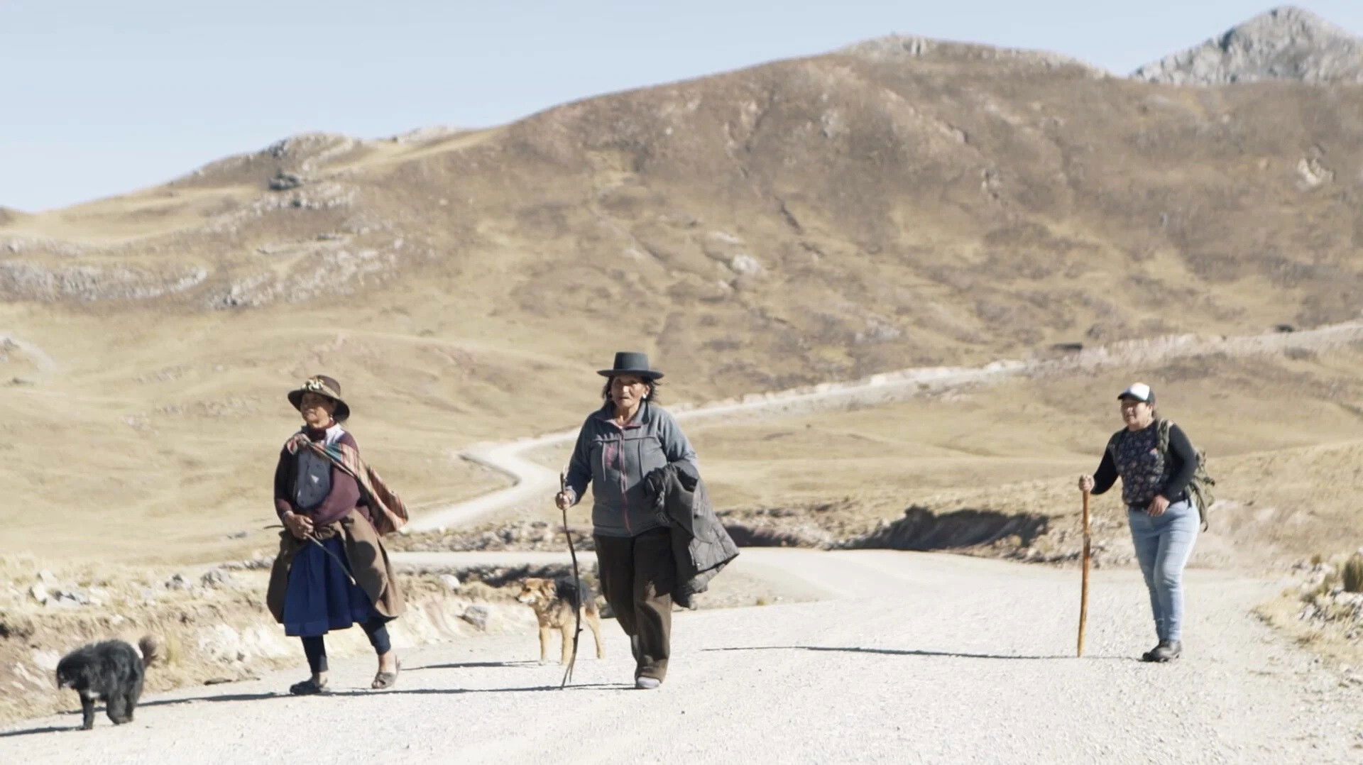 Backdrop for Este fue nuestro castigo