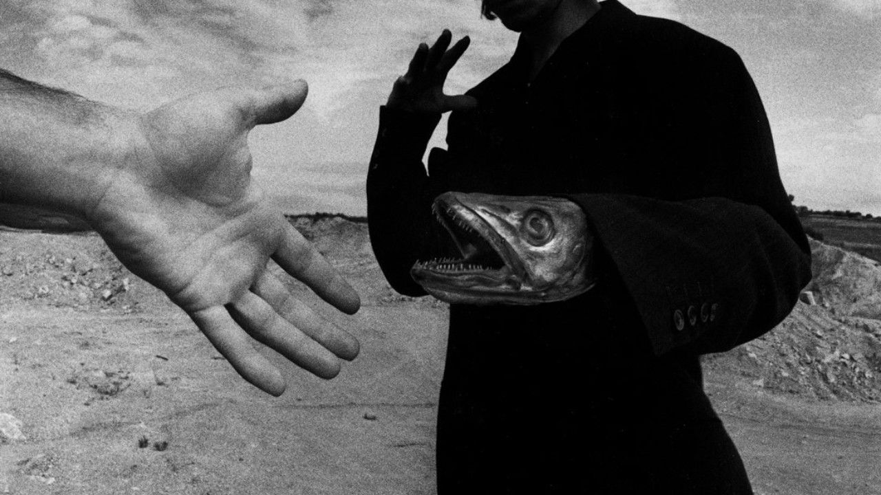 Backdrop for One Minute for One Image