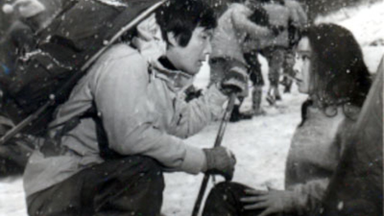 Backdrop for Bird of Paradise