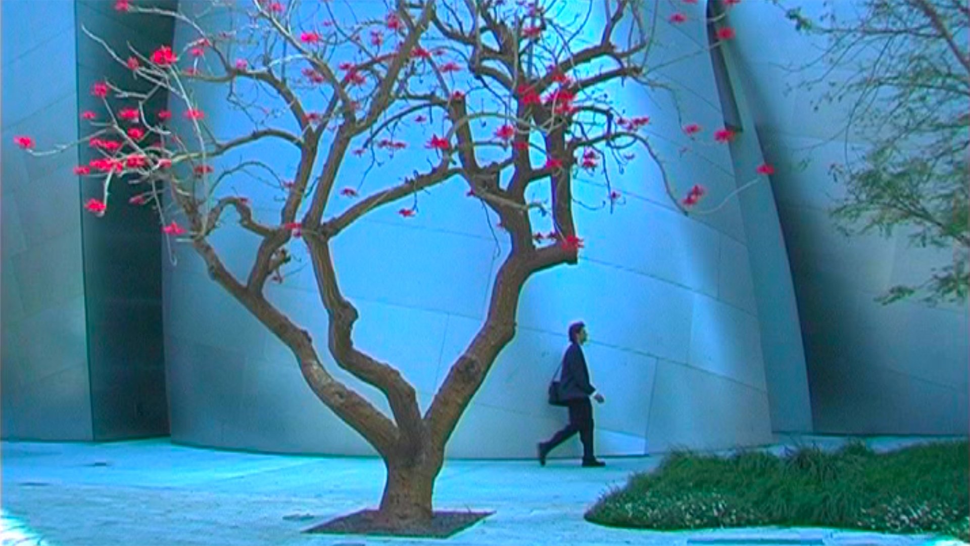 Backdrop for Time and Tide