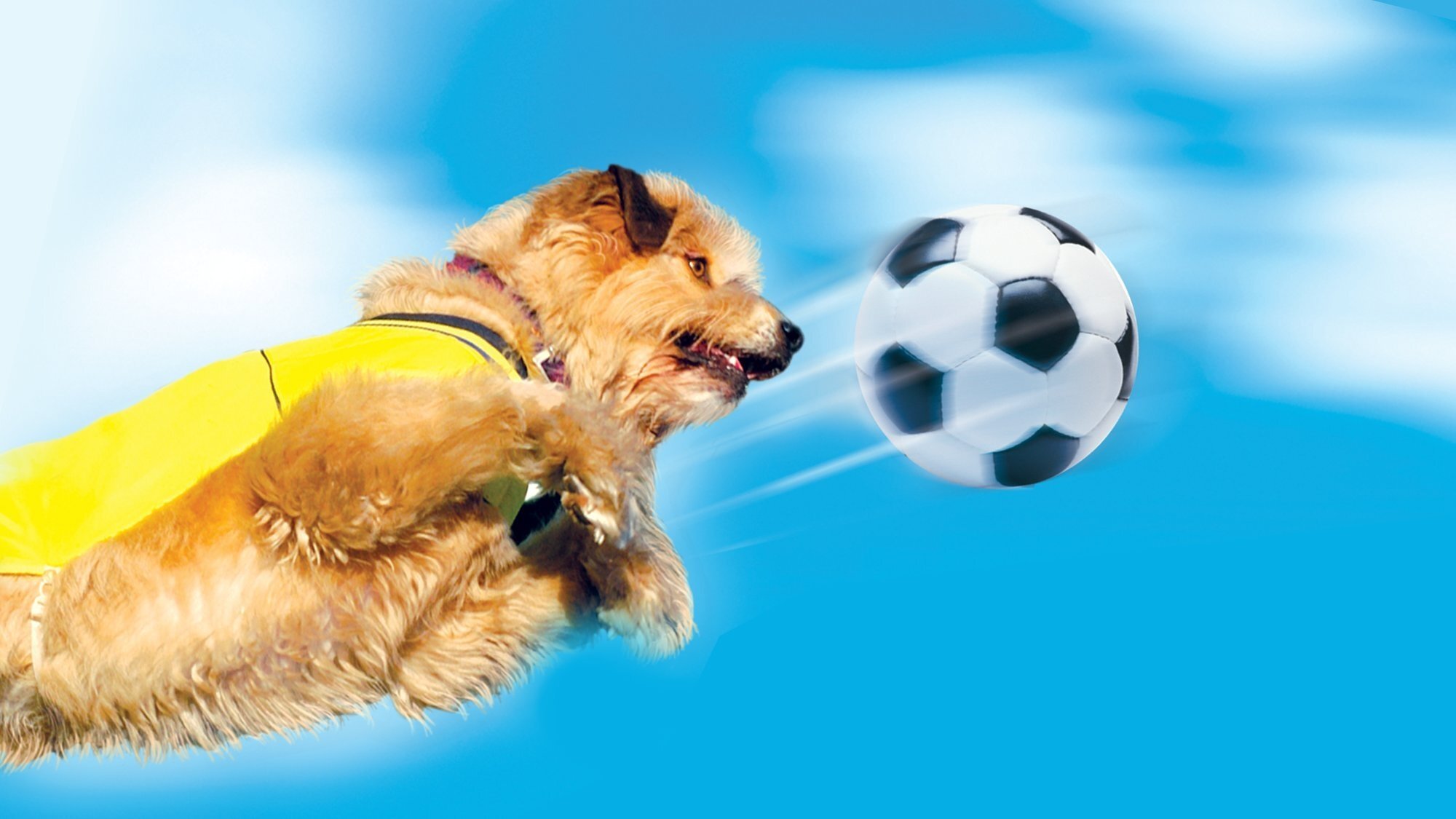 Backdrop for Soccer Dog 2: European Cup