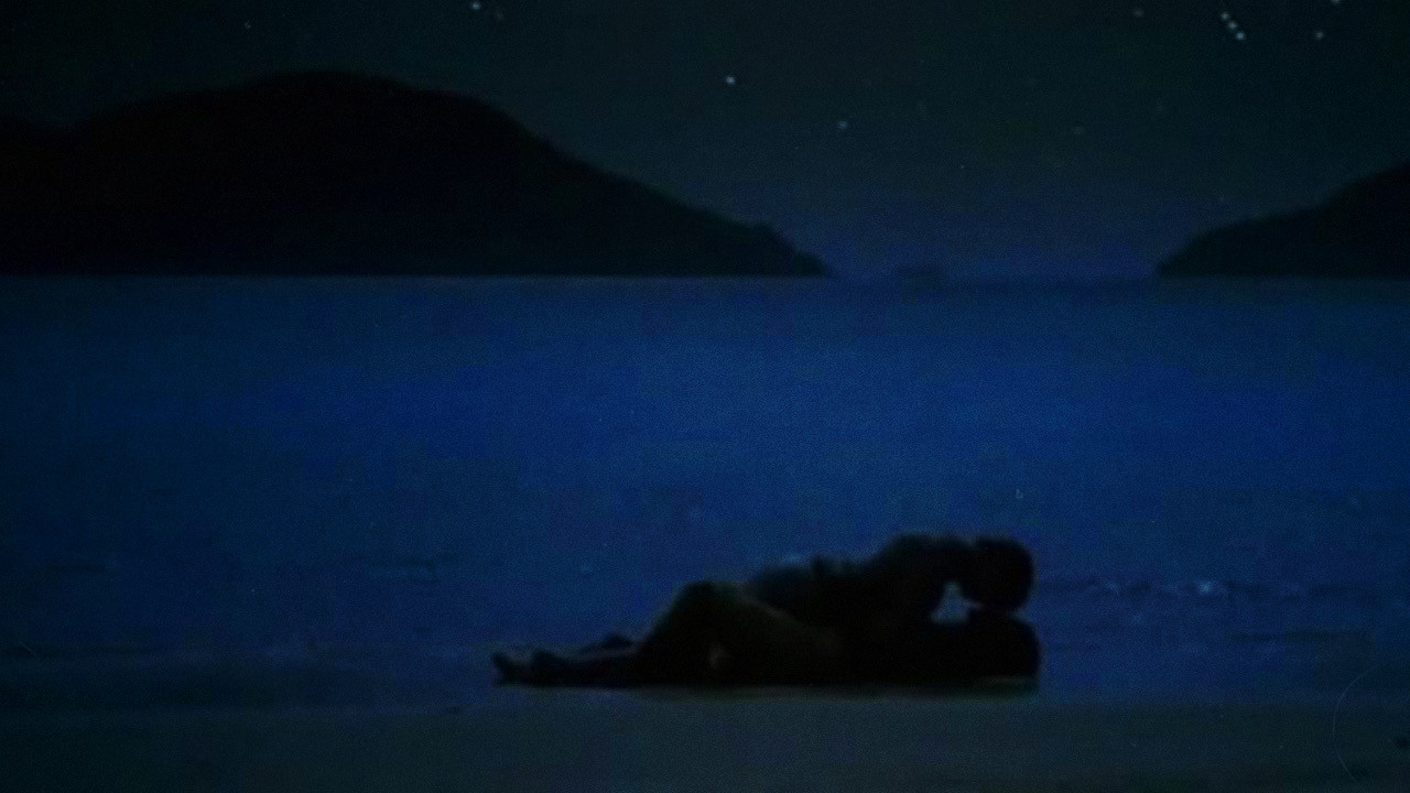 Backdrop for The Dolphin